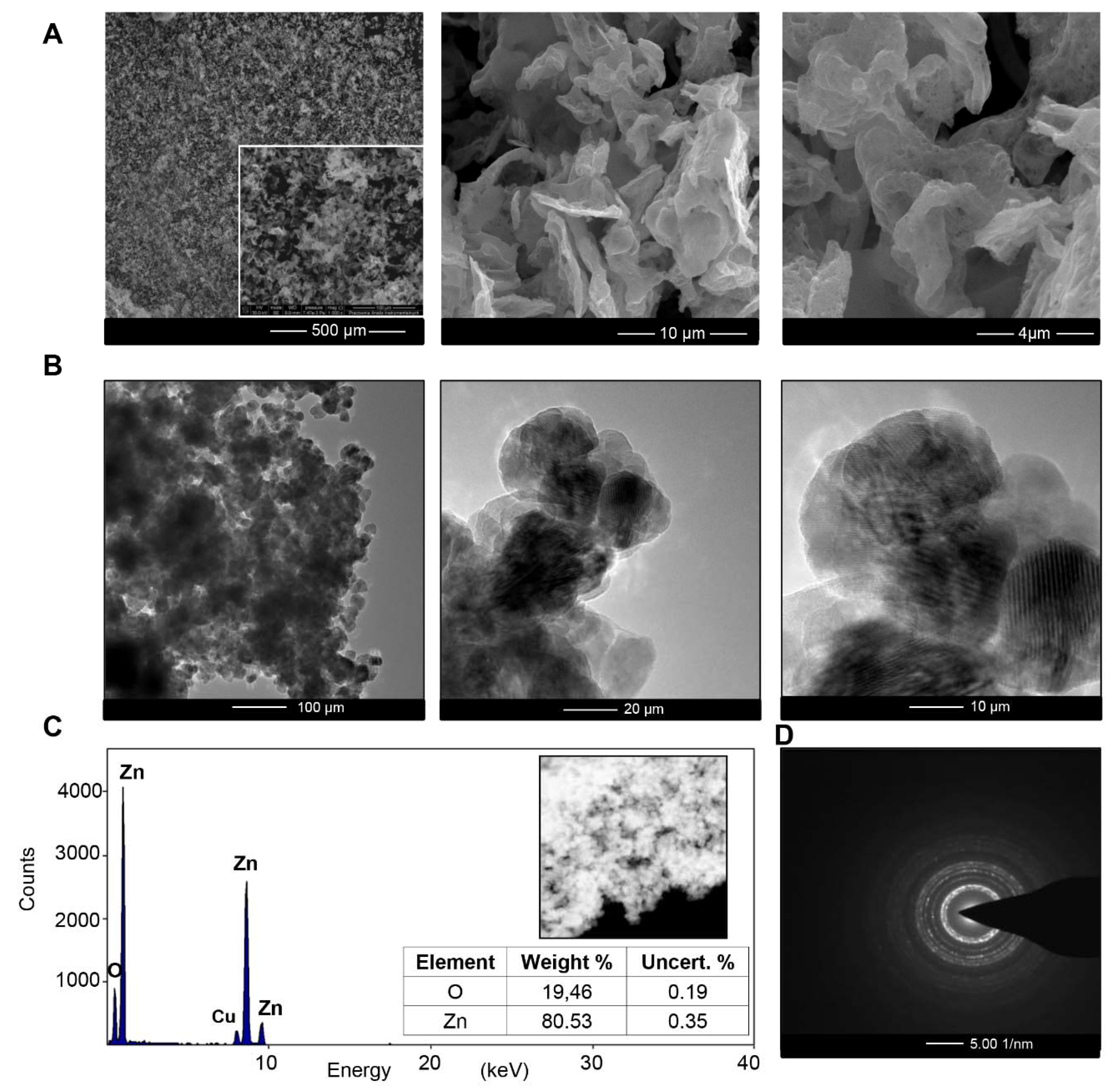 Materials 13 04347 g001 Materials 13 04347 g001
