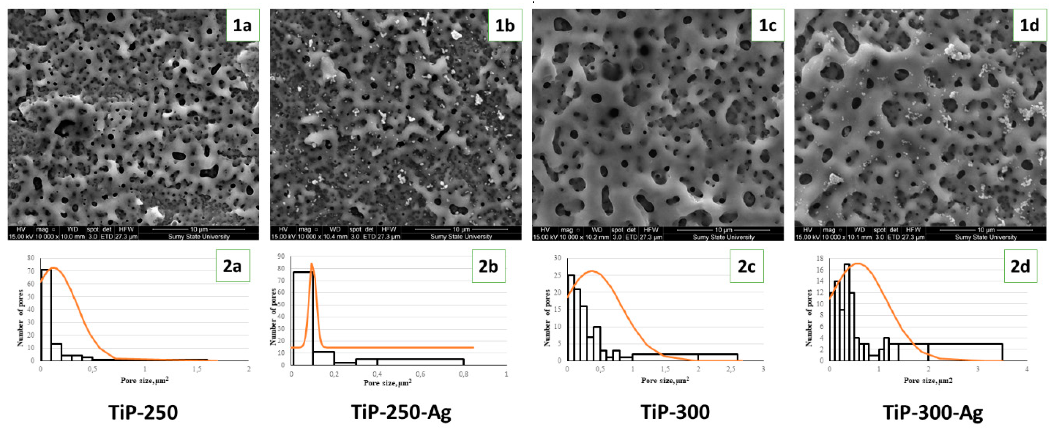 Materials 13 04359 g002