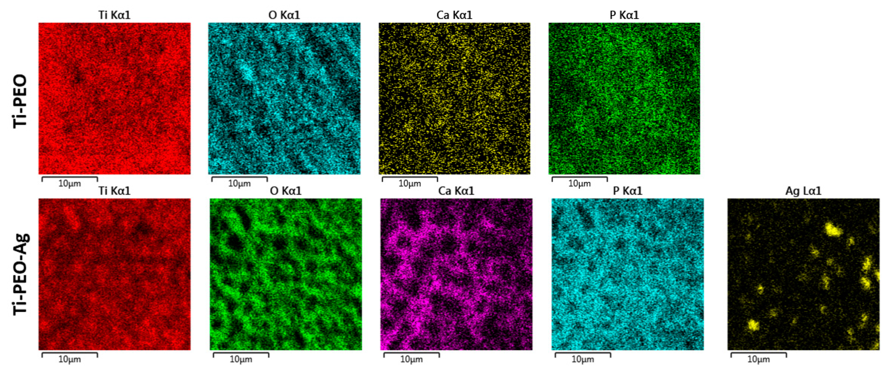 Materials 13 04359 g003