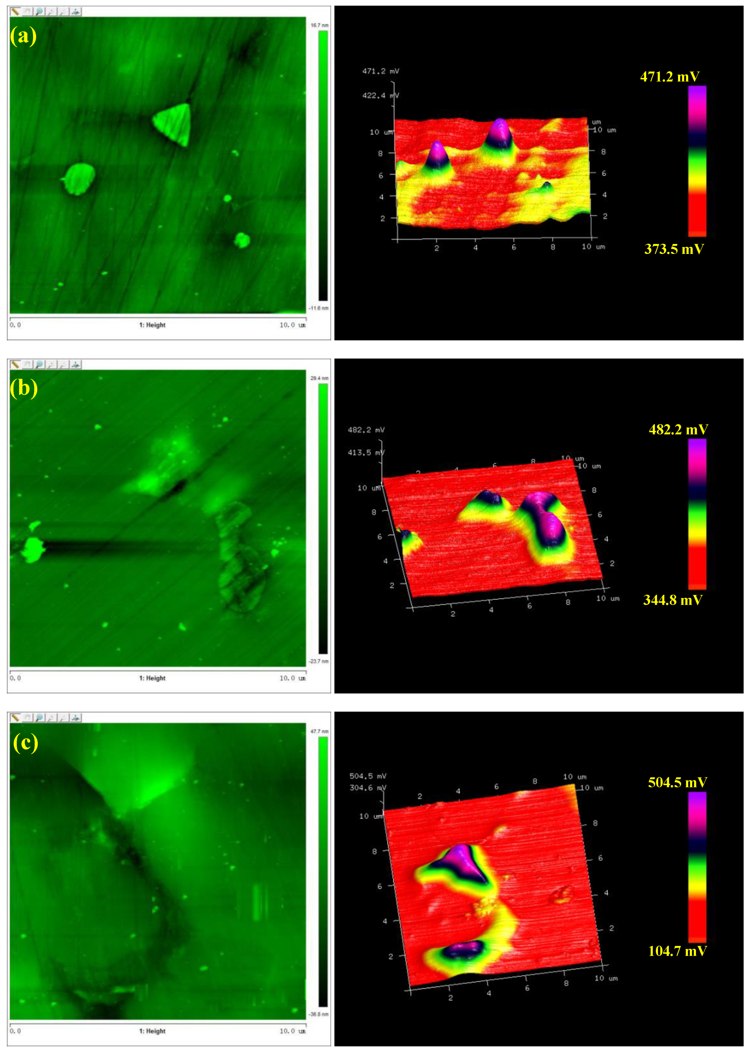 Materials 13 04360 g006