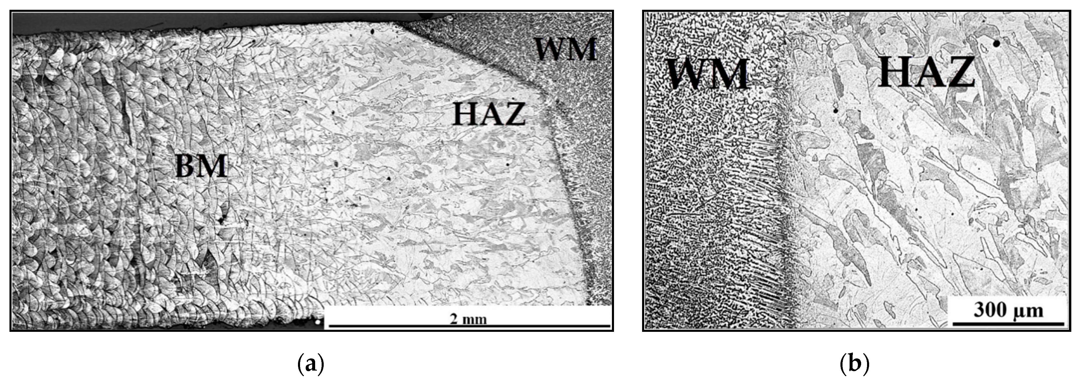 Materials 13 04362 g010