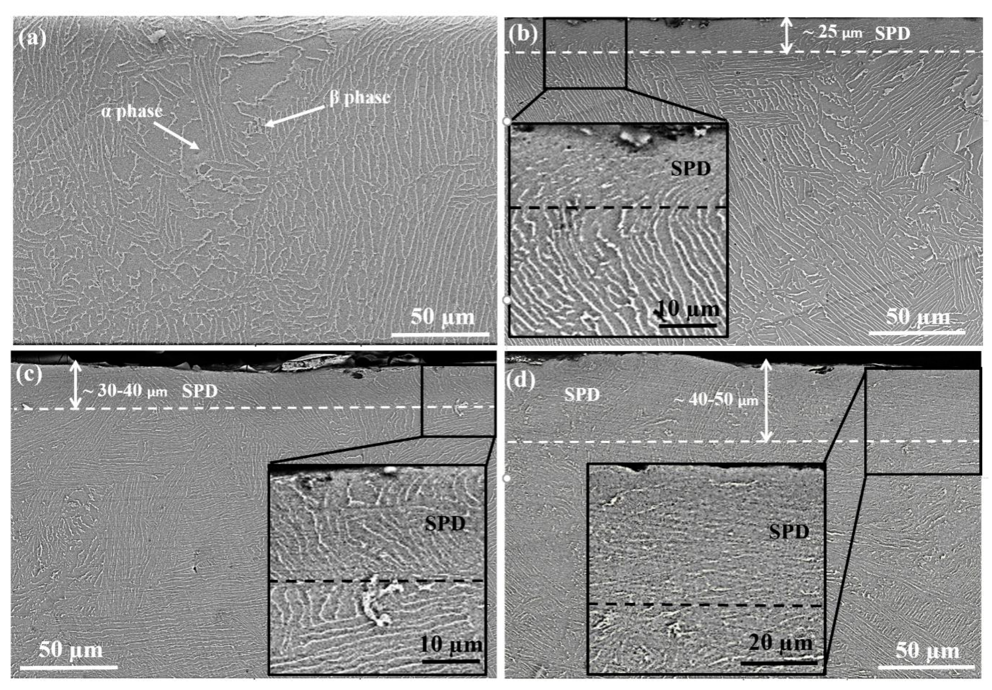 Materials 13 04363 g003