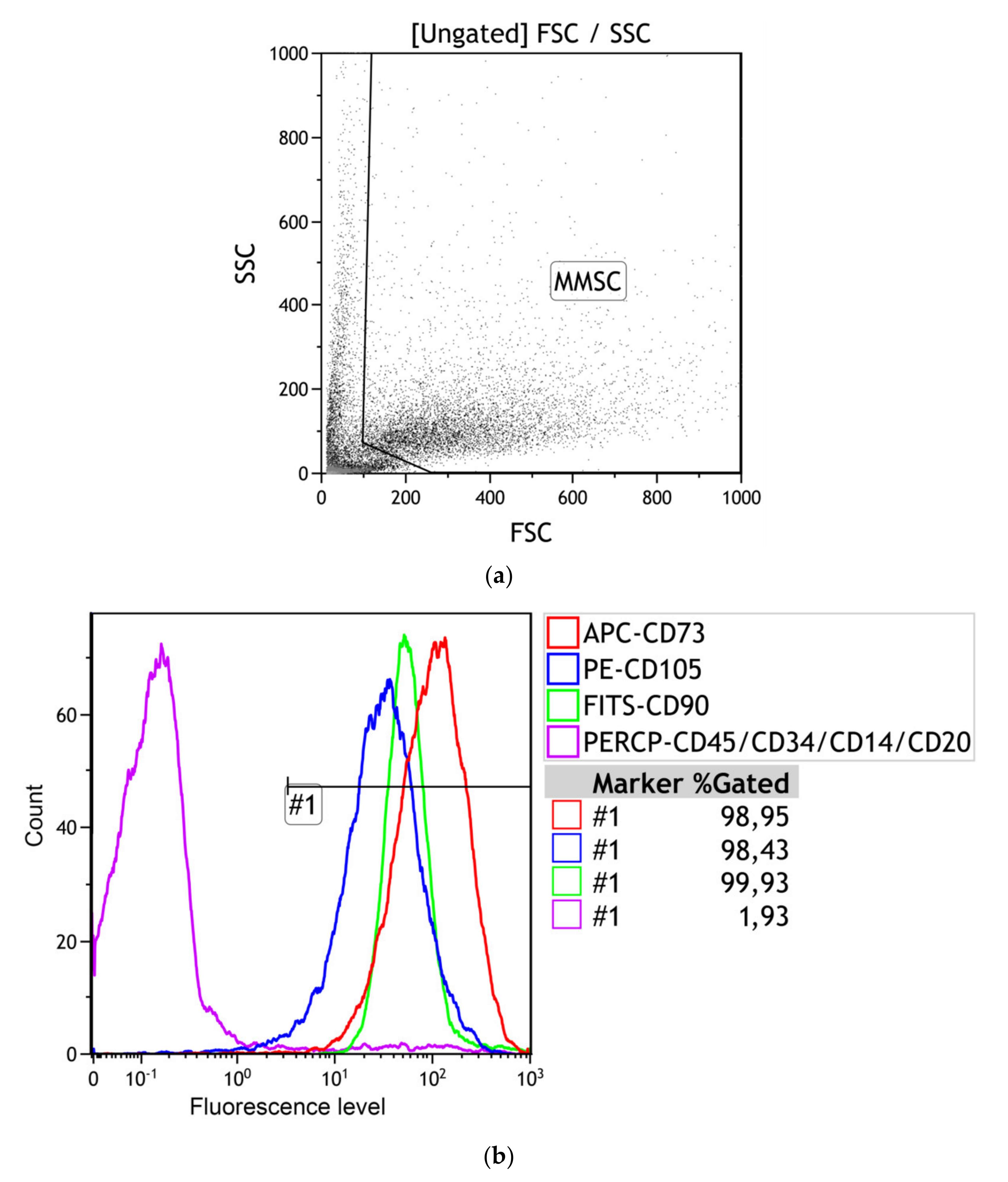Materials 13 04366 g003 Materials 13 04366 g003
