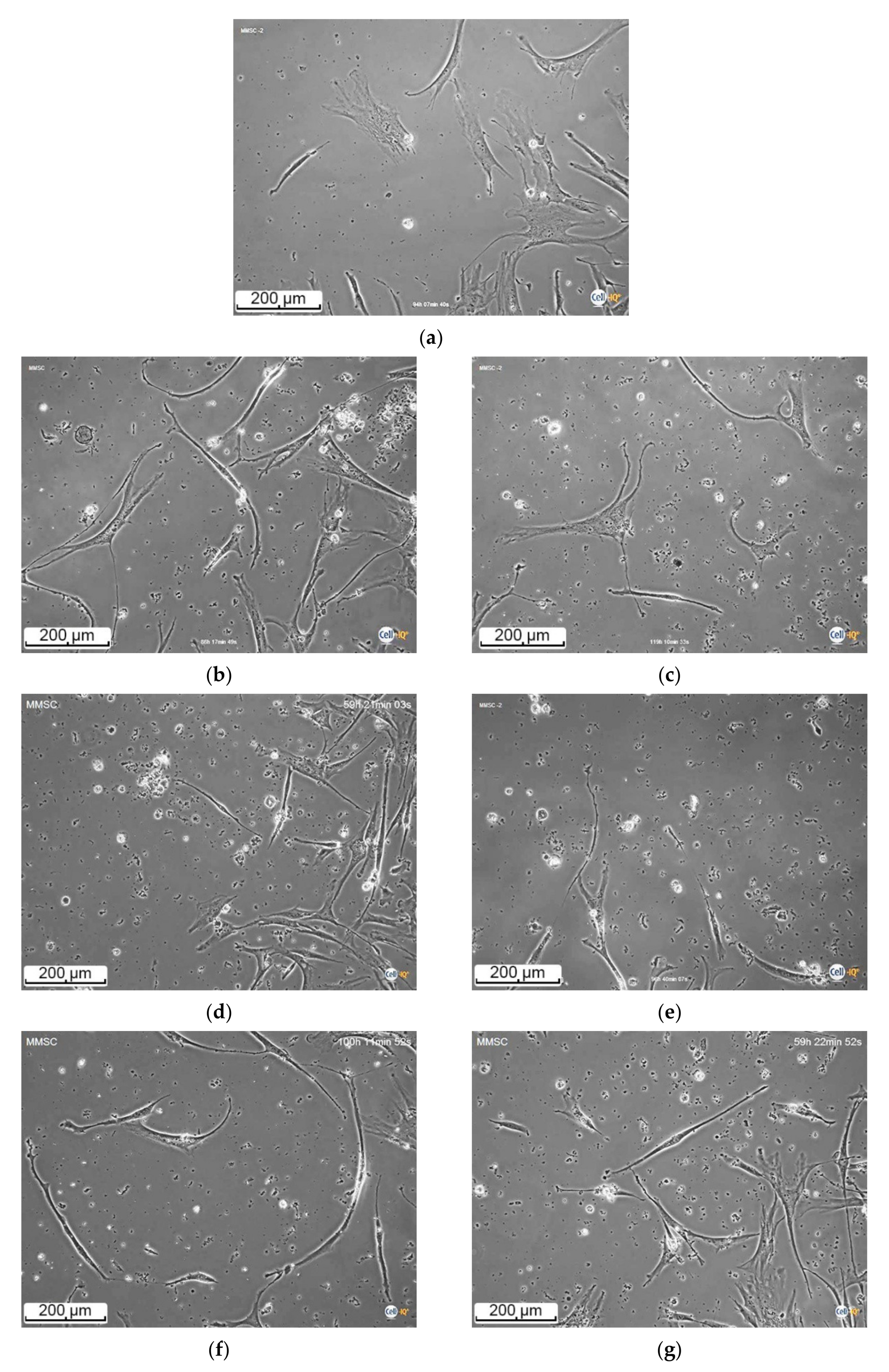 Materials 13 04366 g005 Materials 13 04366 g005