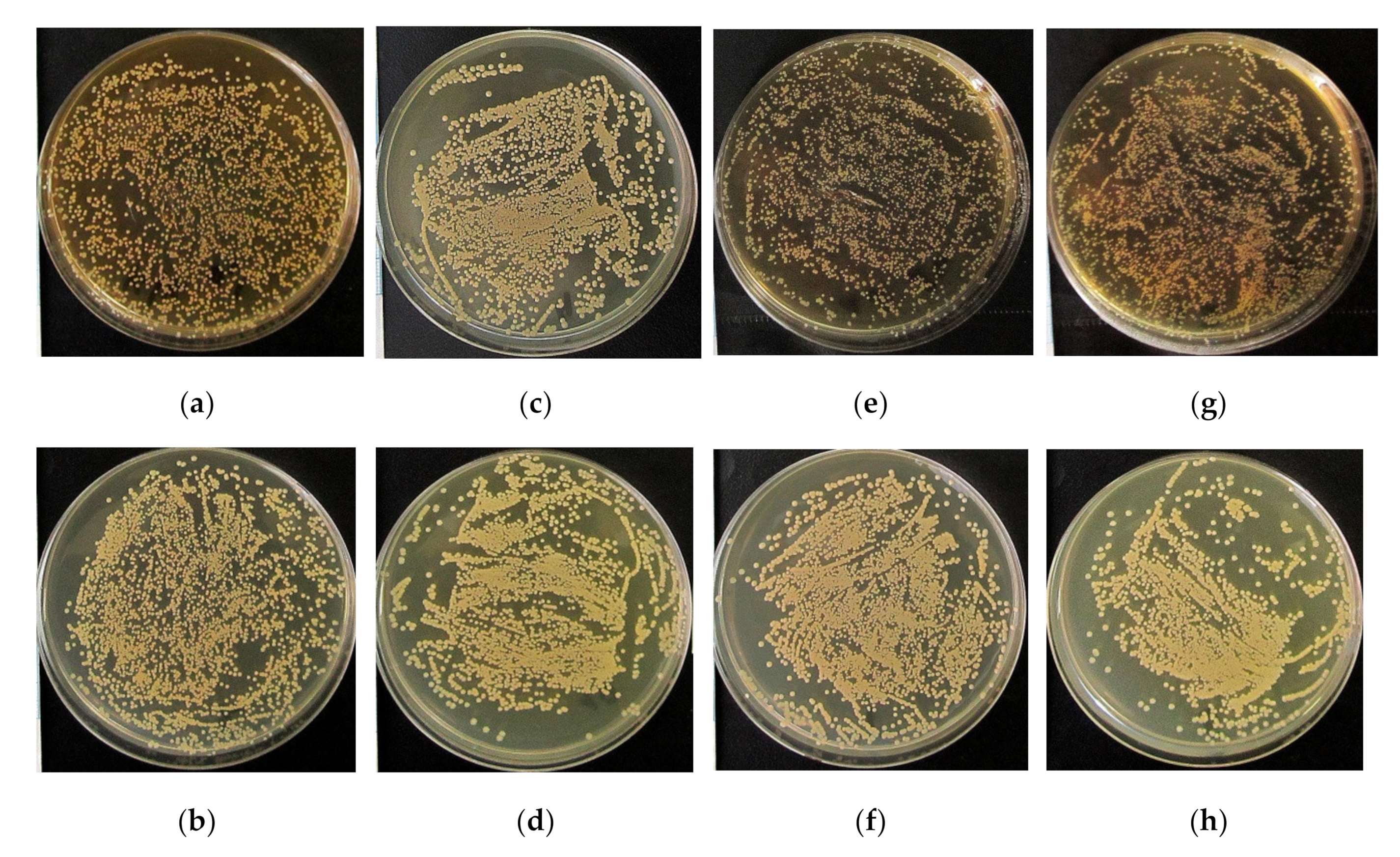 Materials 13 04366 g006 Materials 13 04366 g006