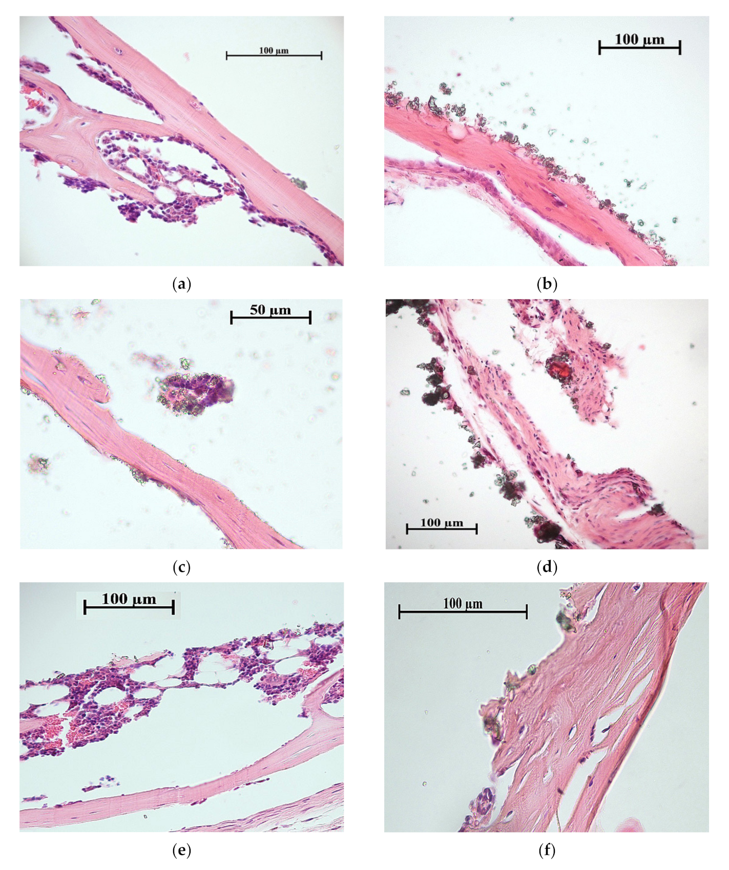 Materials 13 04366 g008 Materials 13 04366 g008