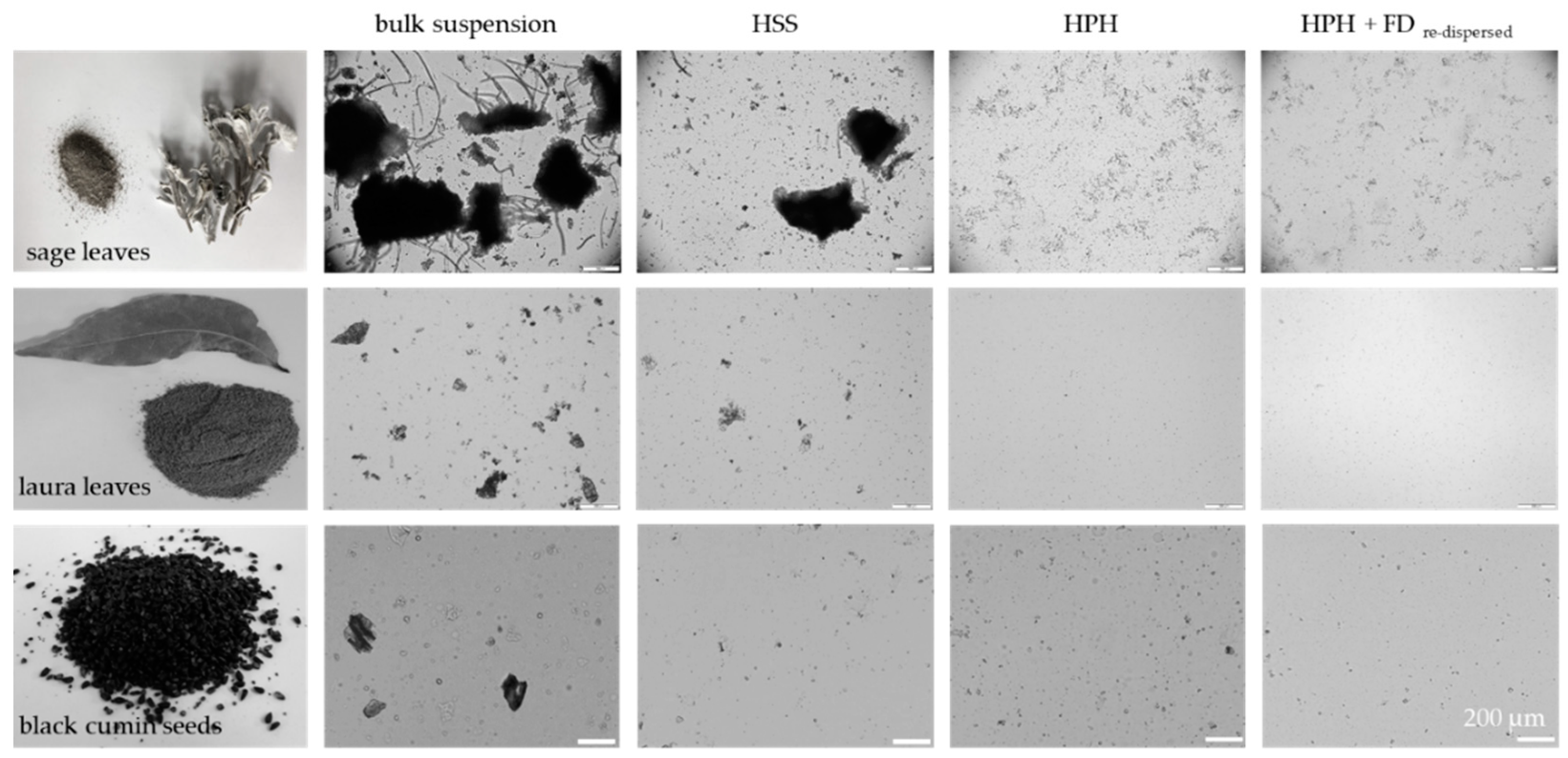 Materials 13 04368 g003