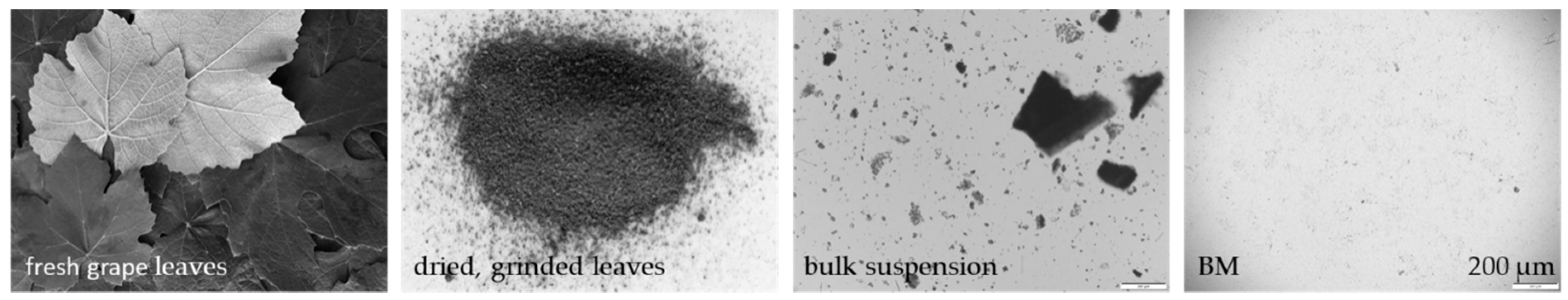 Materials 13 04368 g007