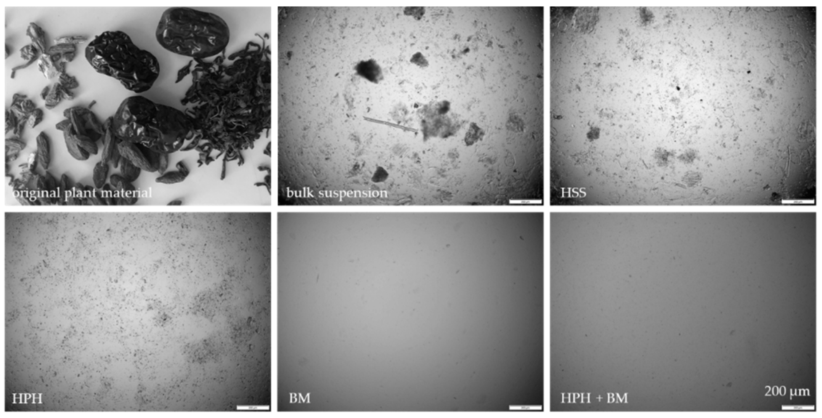 Materials 13 04368 g008