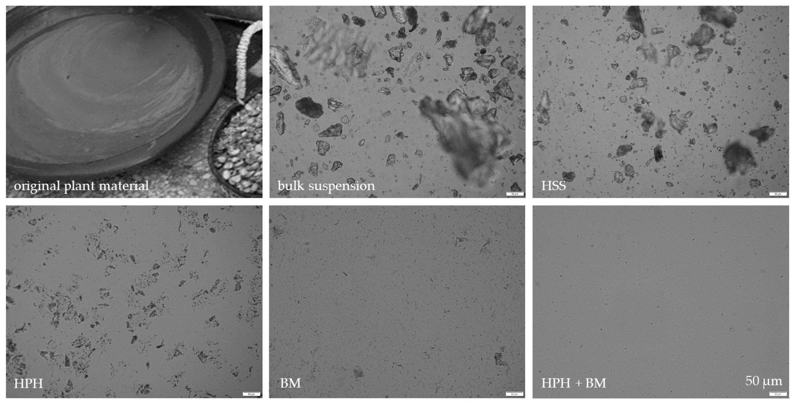 Materials 13 04368 g013