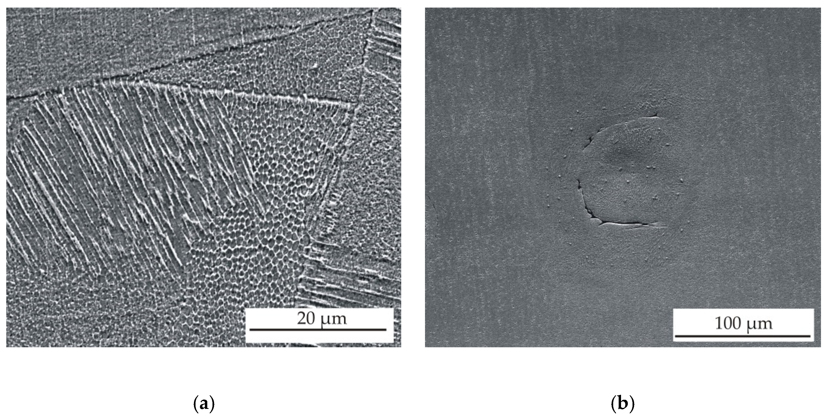 Materials 13 04377 g010 Materials 13 04377 g010