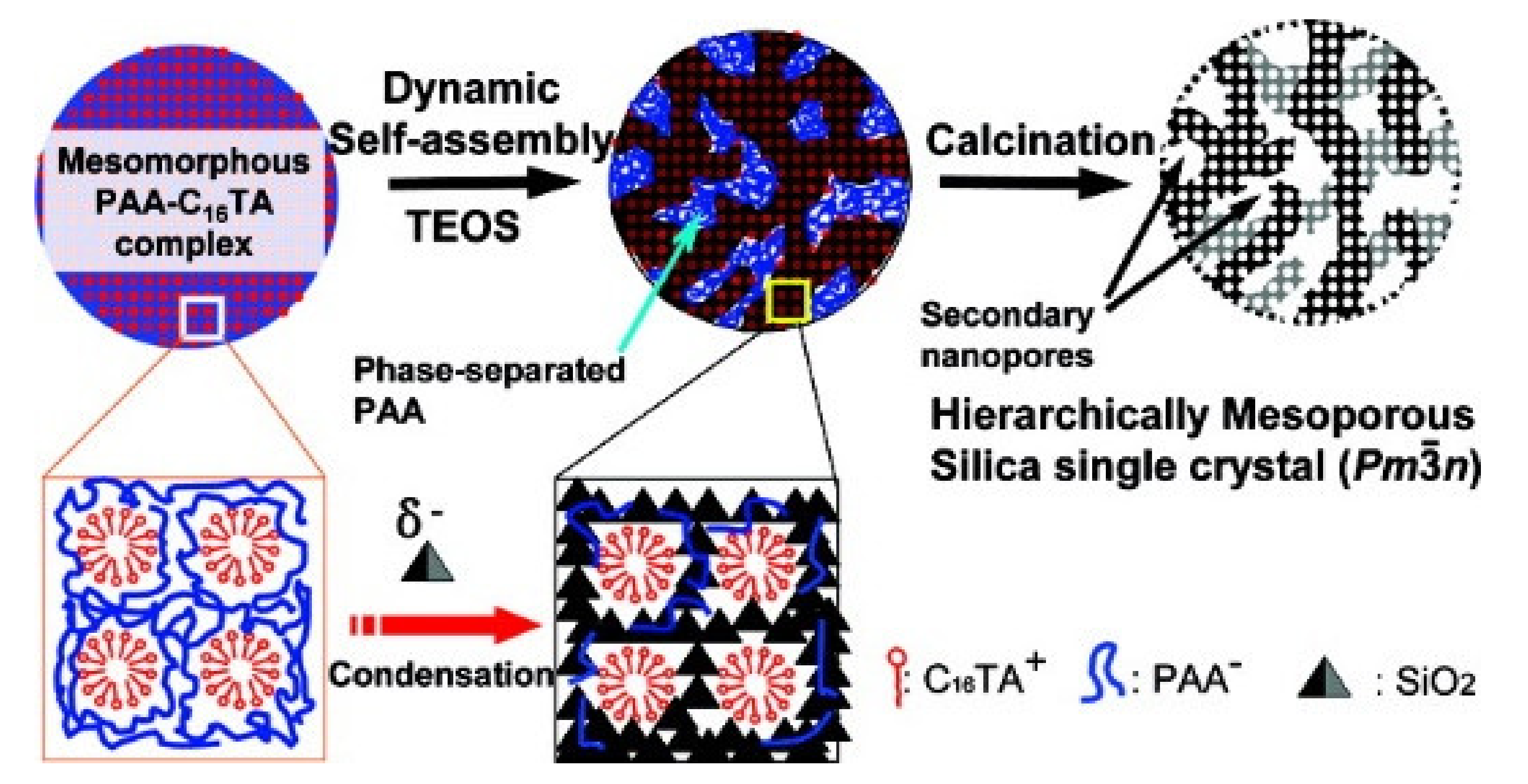 Materials 13 04385 g006 Materials 13 04385 g006