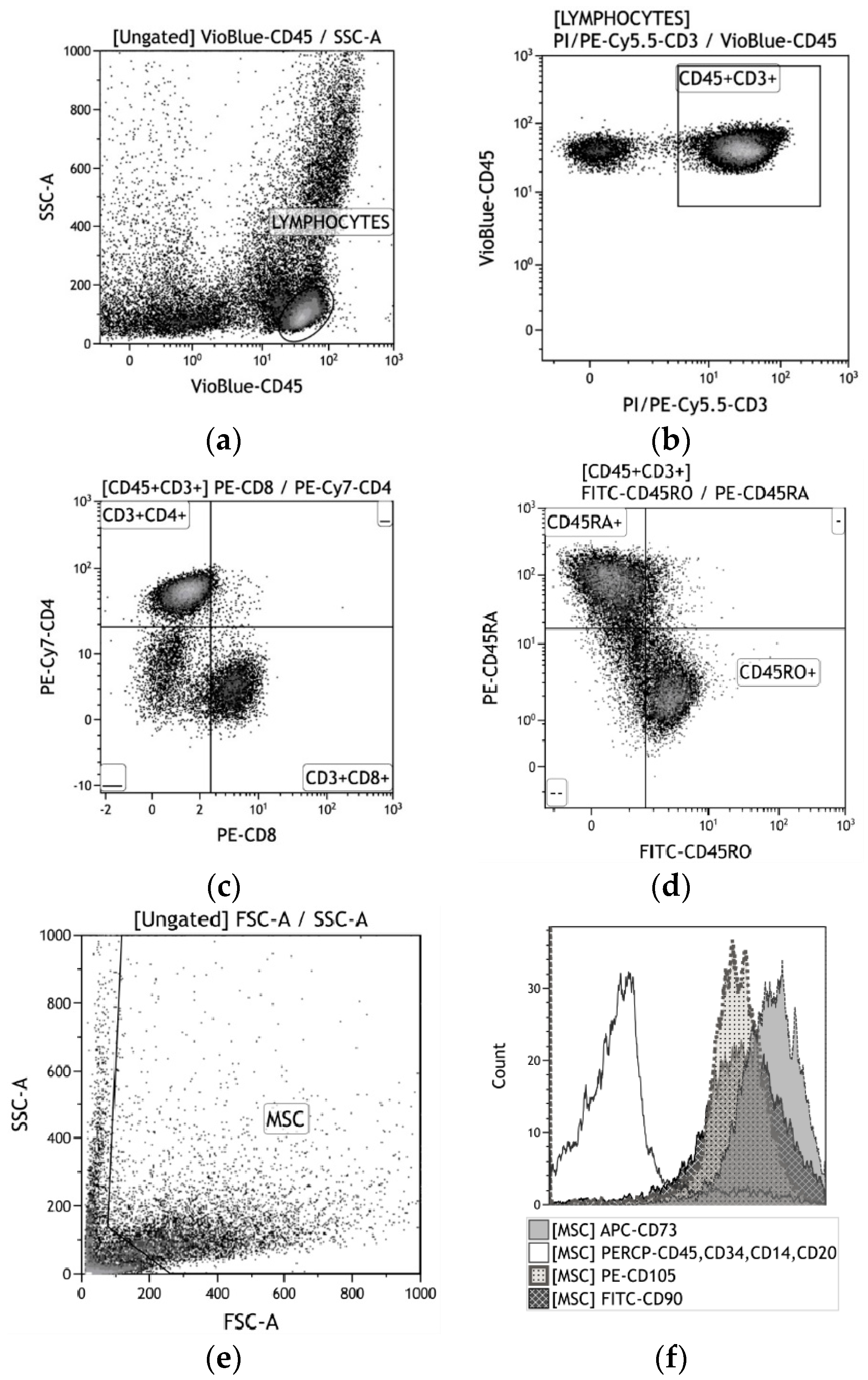 Materials 13 04398 g002