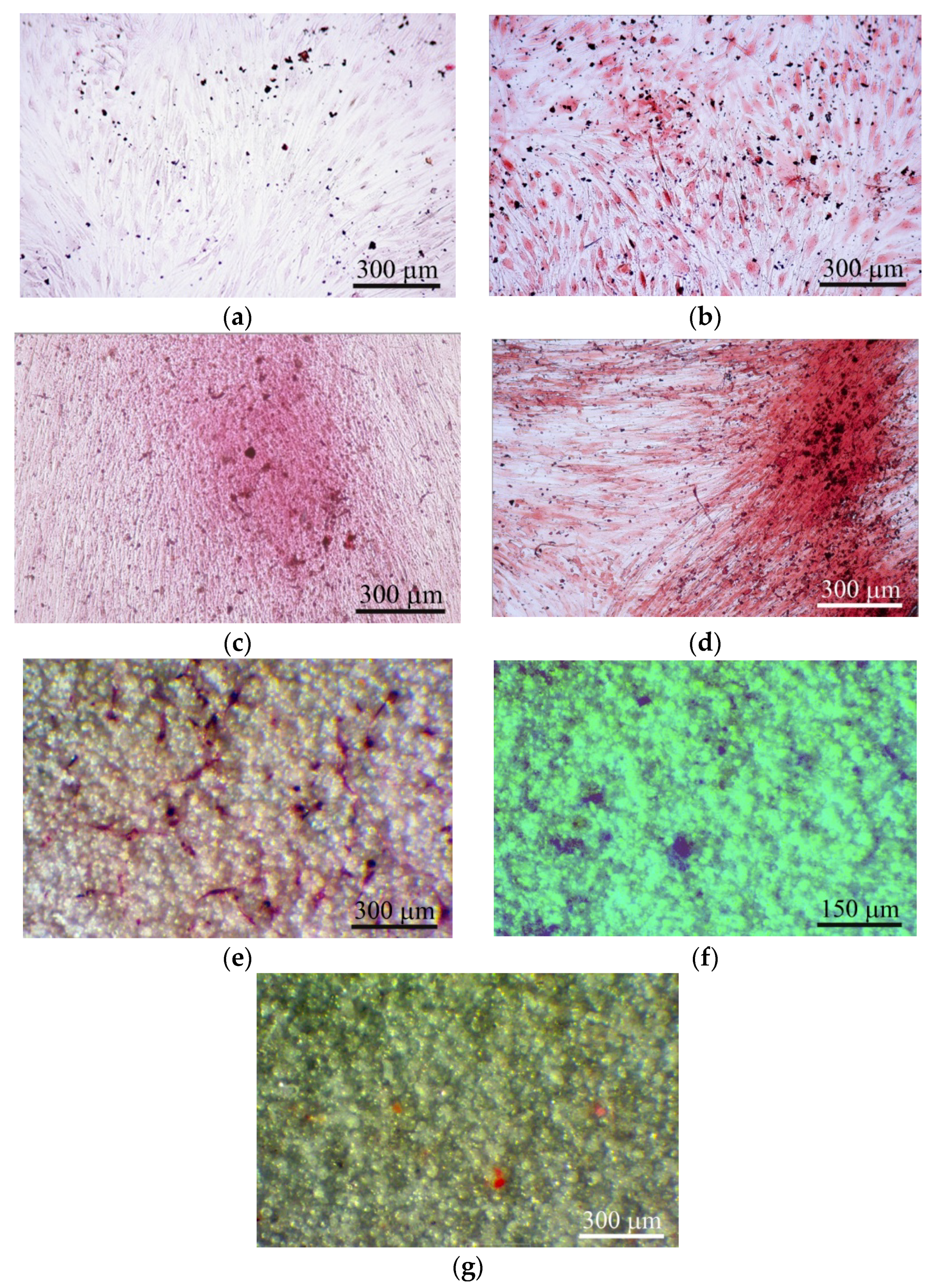 Materials 13 04398 g005