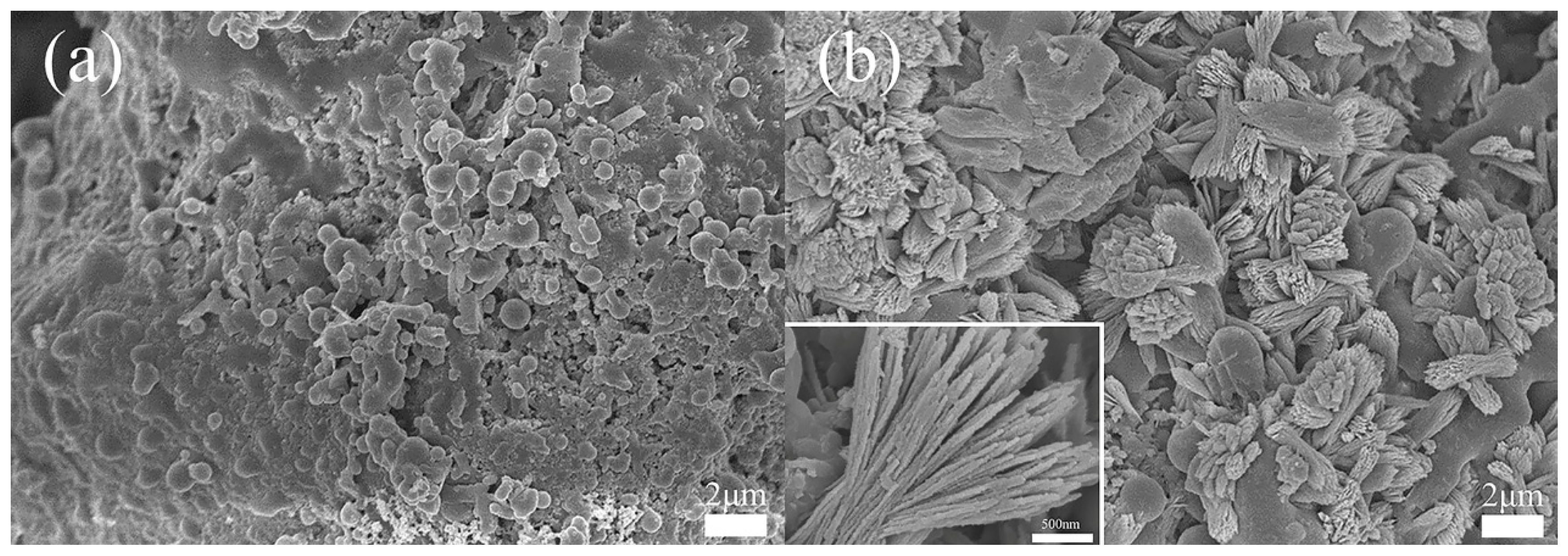 Materials 13 04403 g003 Materials 13 04403 g003