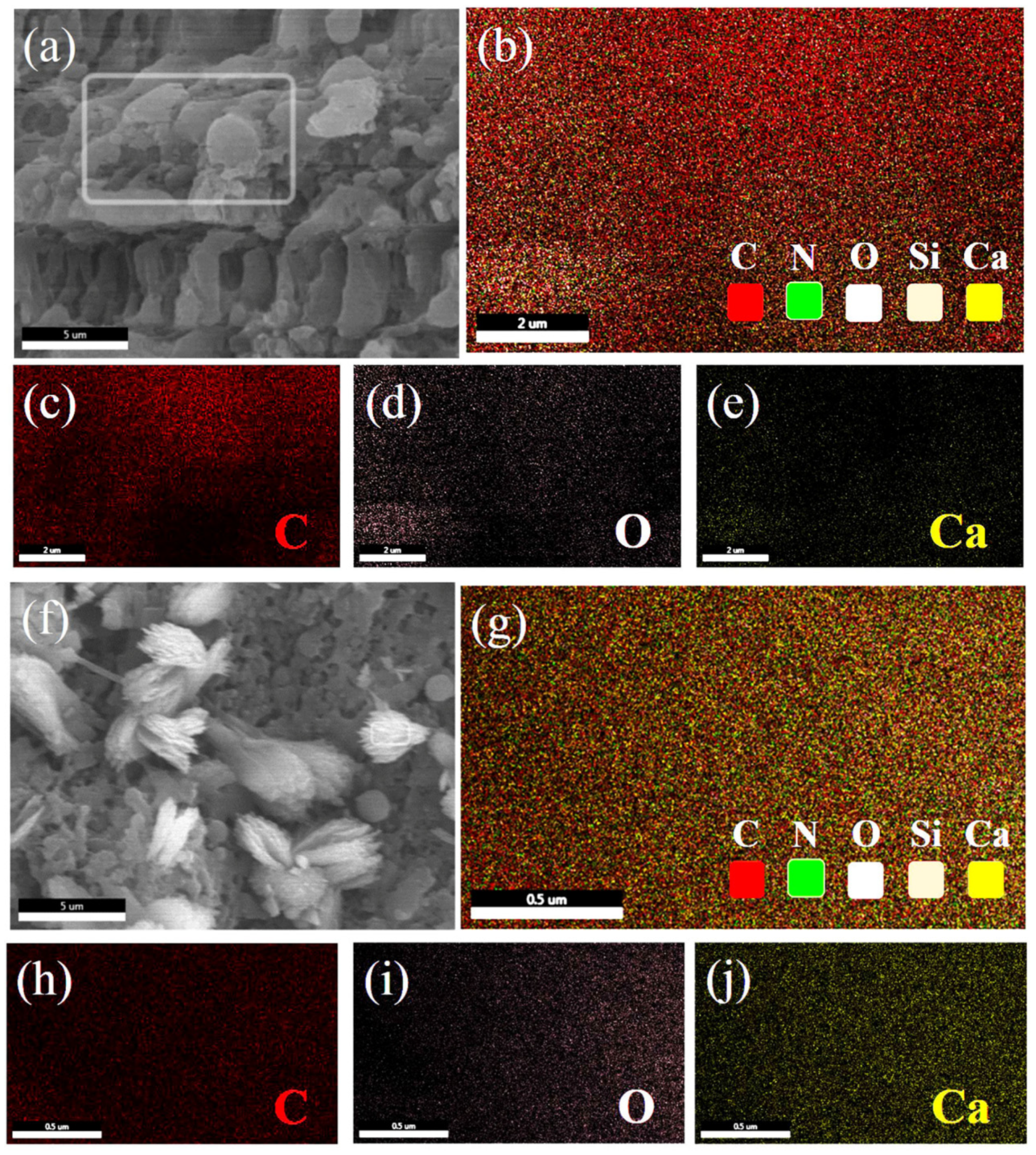 Materials 13 04403 g004 Materials 13 04403 g004