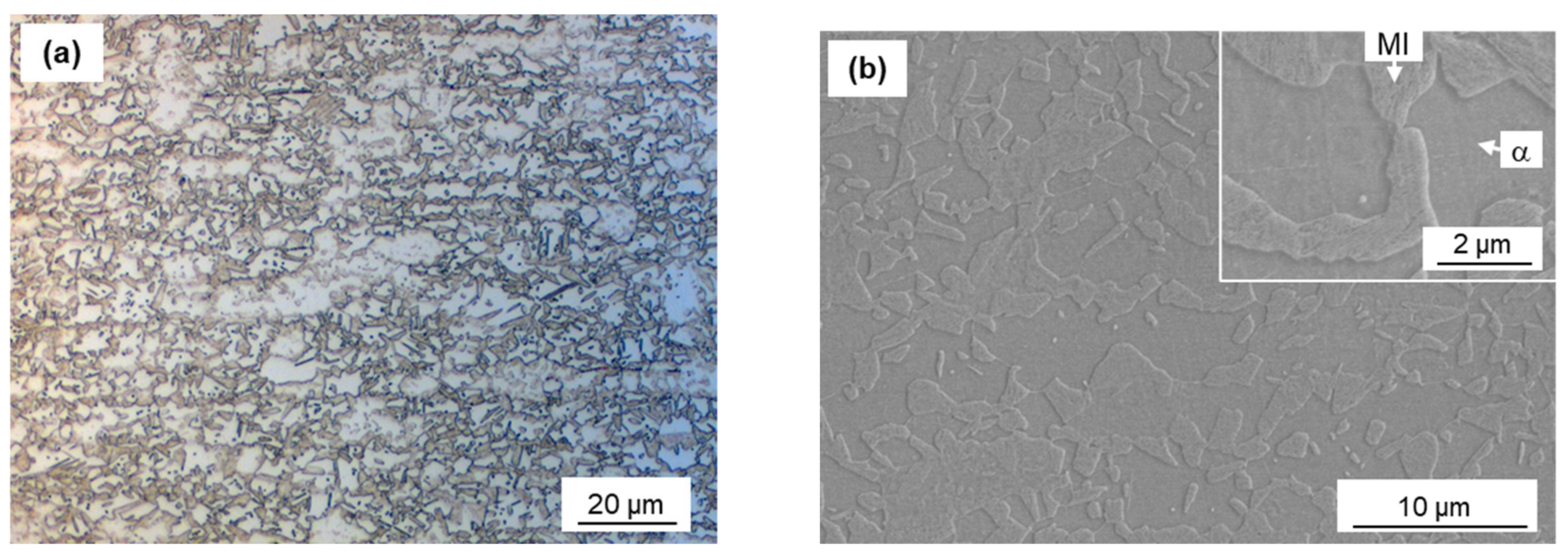 Materials 13 04406 g001