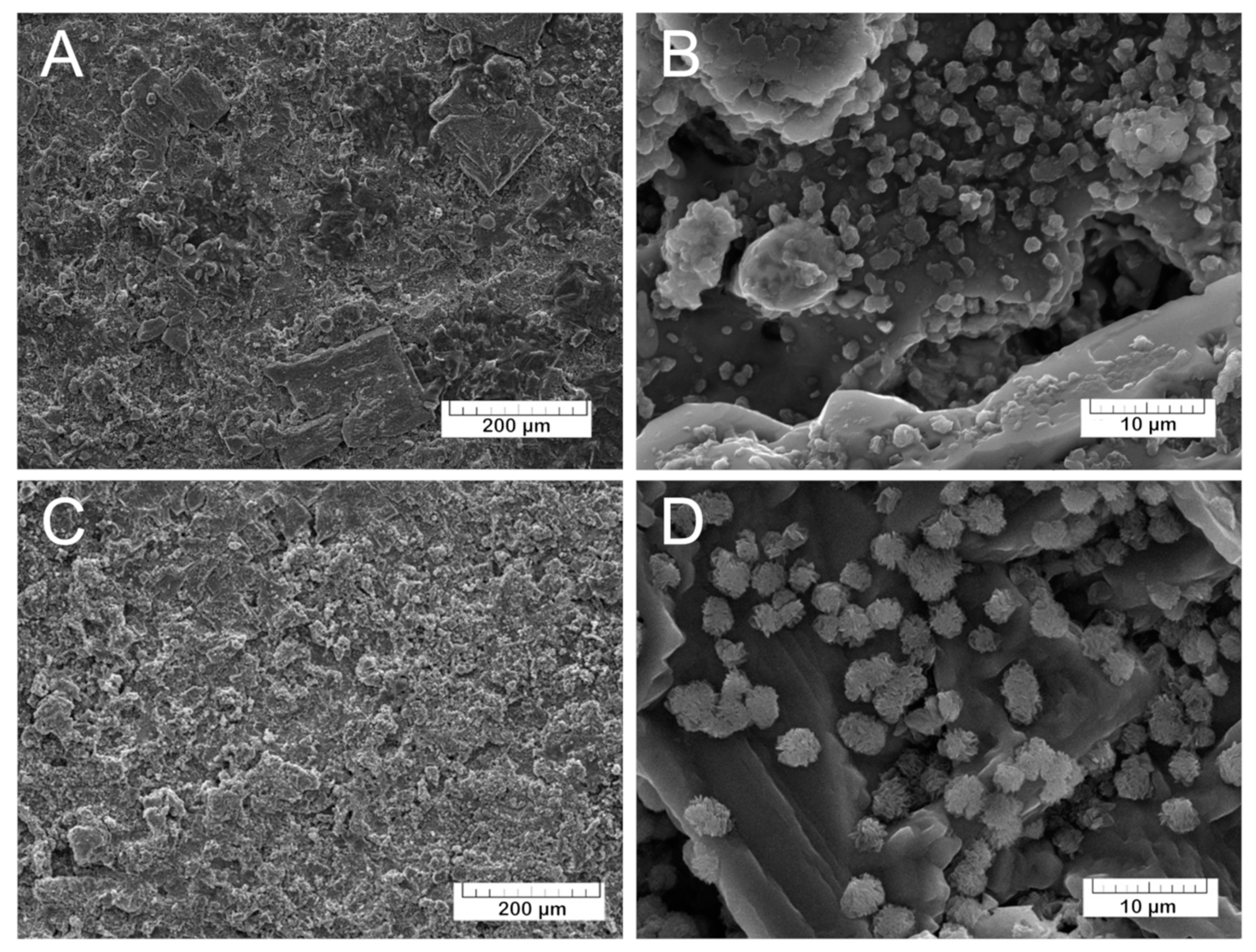 Materials 13 04411 g007