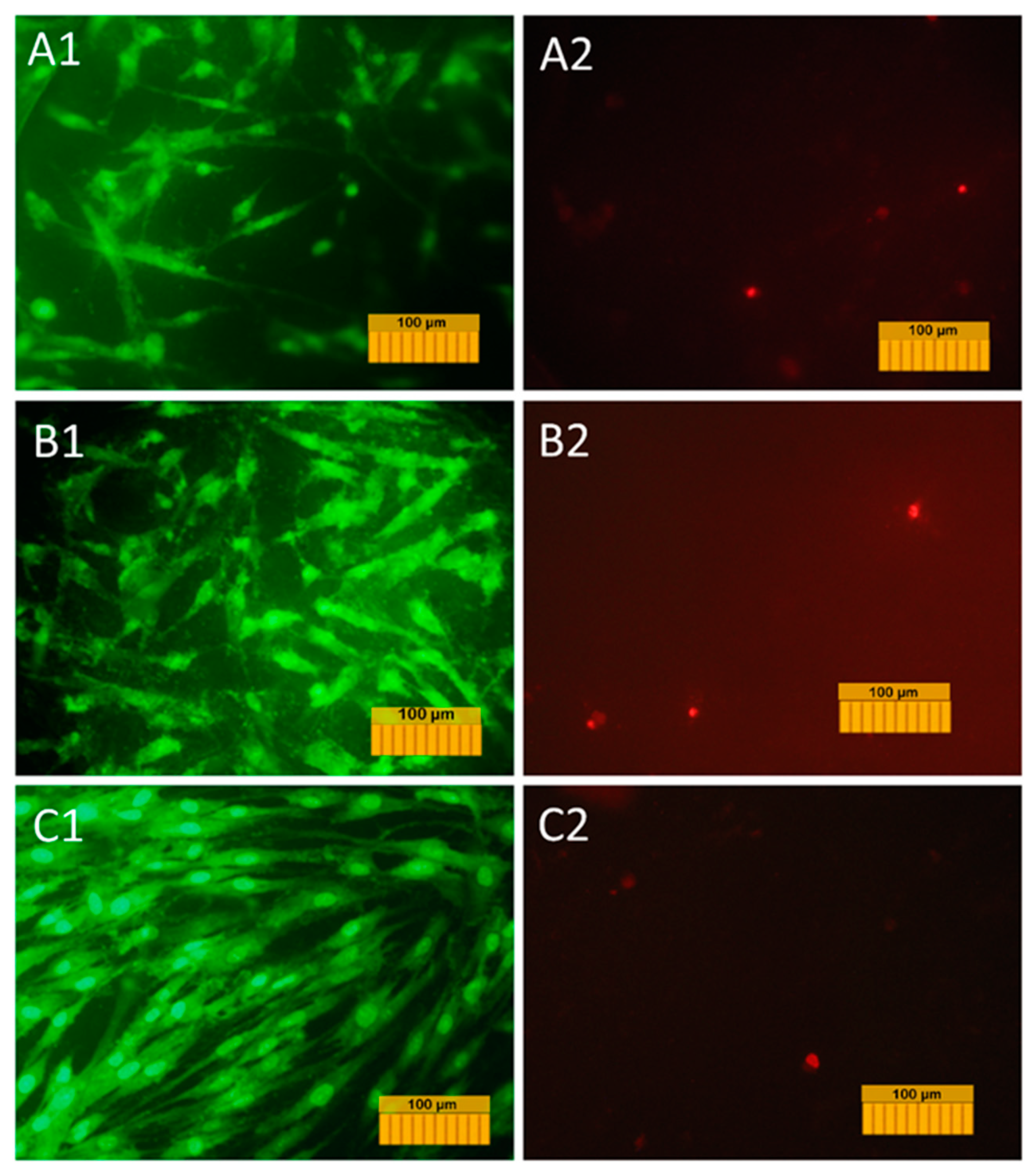 Materials 13 04411 g010