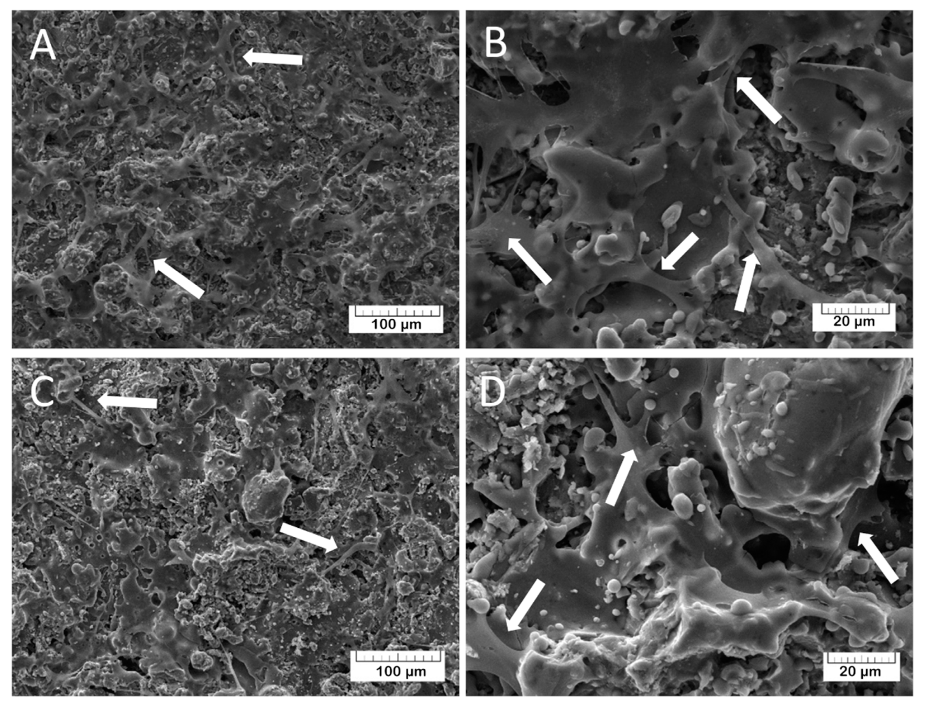 Materials 13 04411 g013