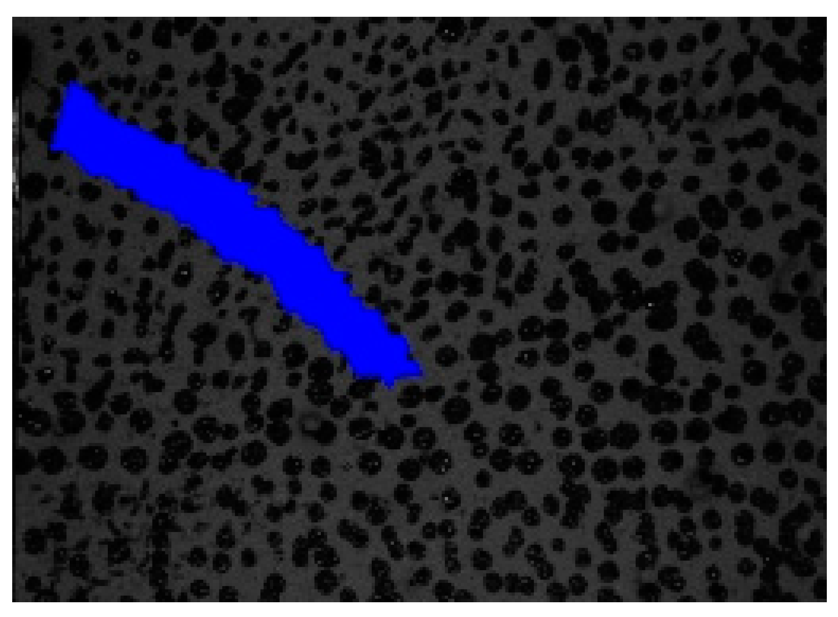 Materials 13 04415 g005