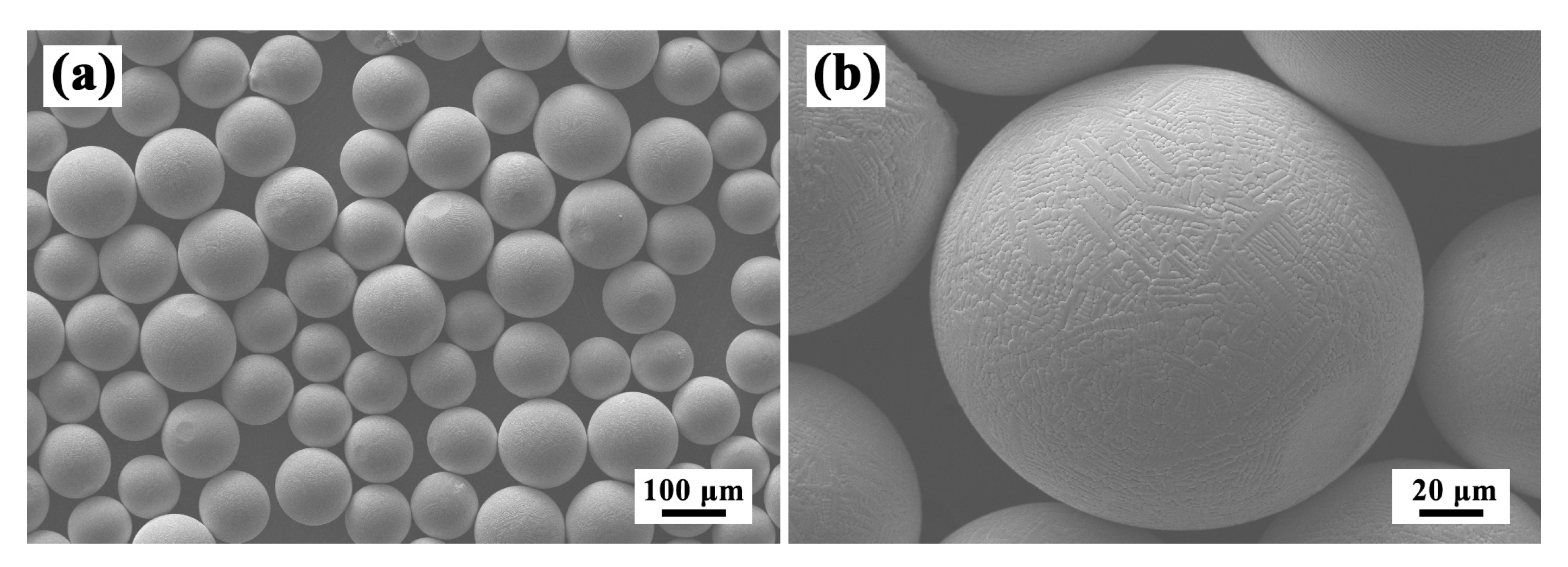 Materials 13 04416 g001 Materials 13 04416 g001