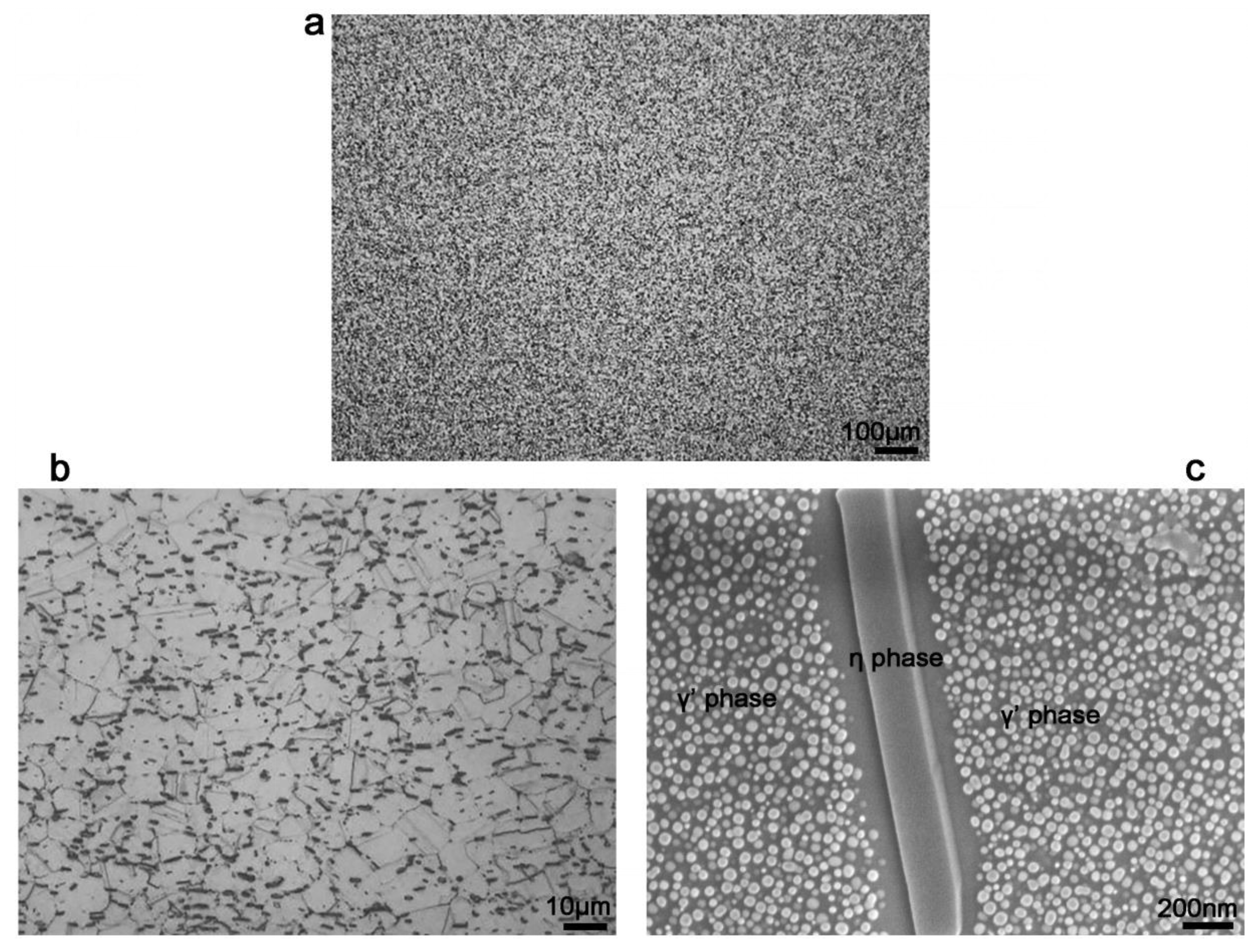 Materials 13 04418 g003 Materials 13 04418 g003