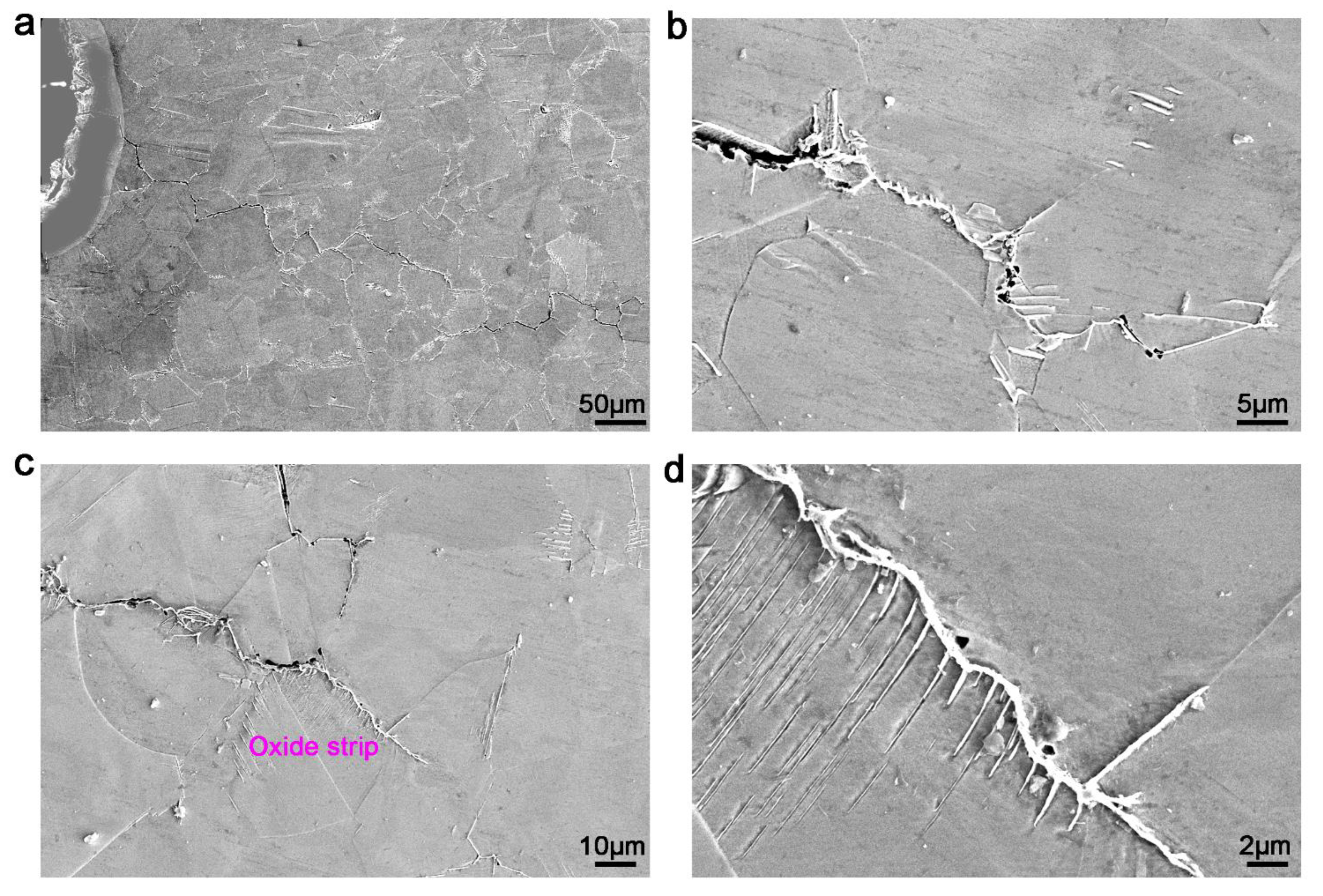 Materials 13 04418 g007 Materials 13 04418 g007
