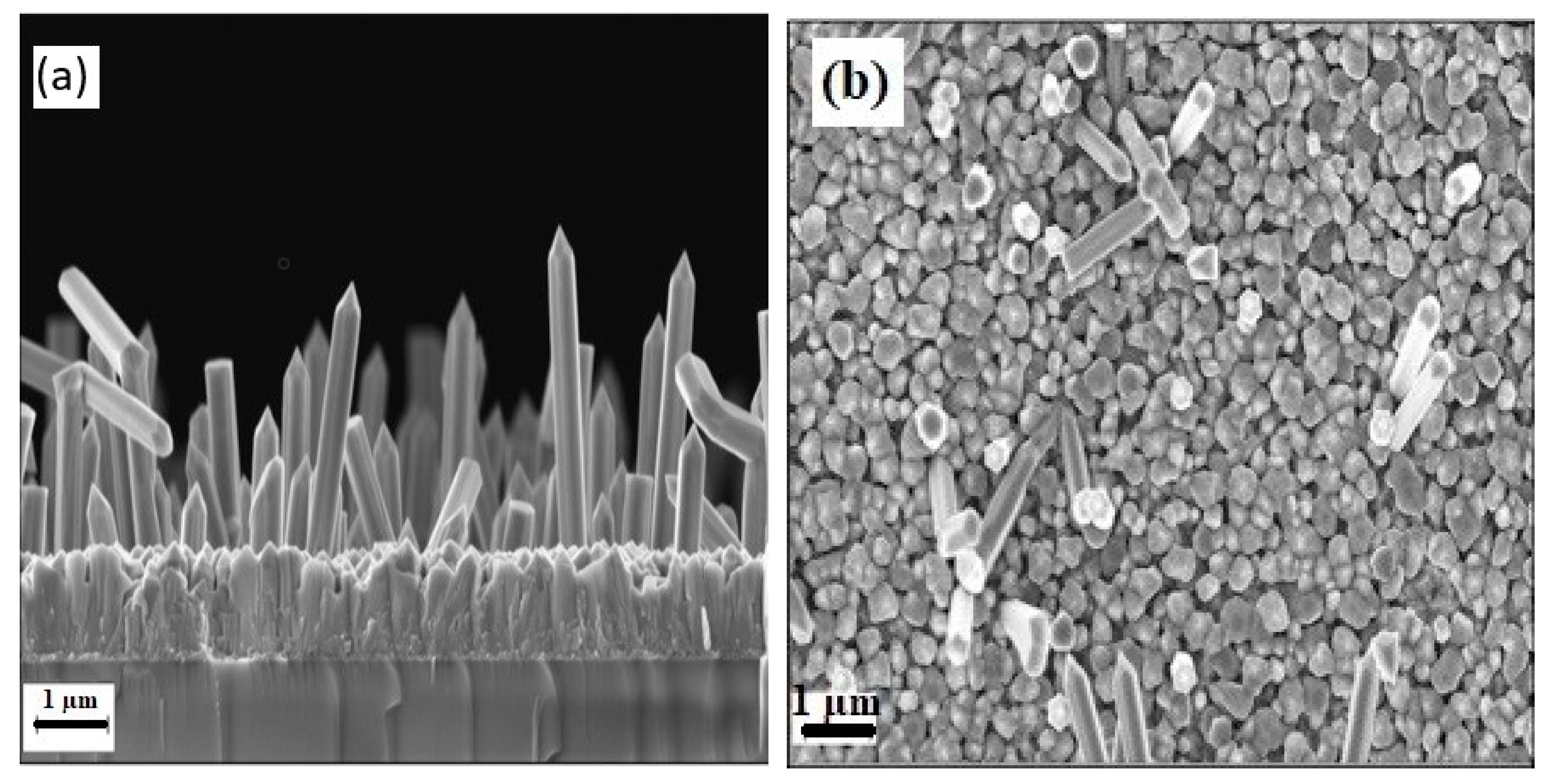 Materials 13 04427 g006 Materials 13 04427 g006