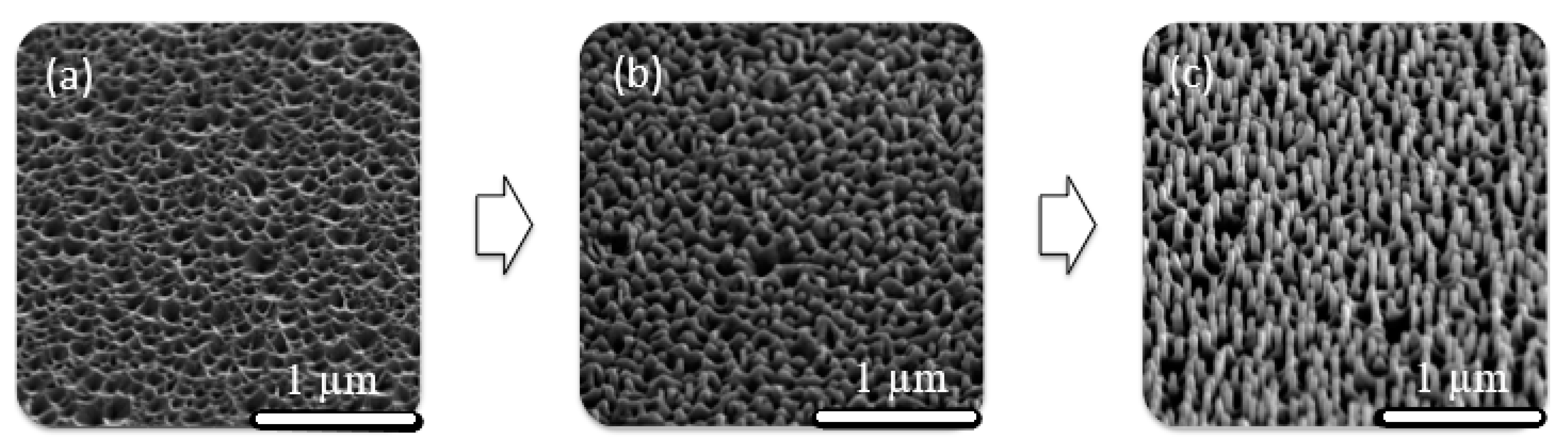 Materials 13 04427 g011 Materials 13 04427 g011