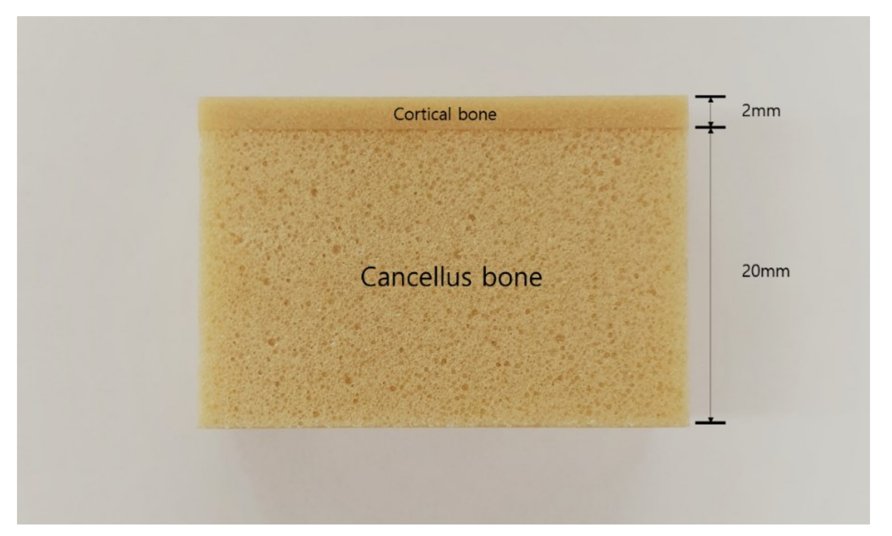 Materials 13 04433 g002