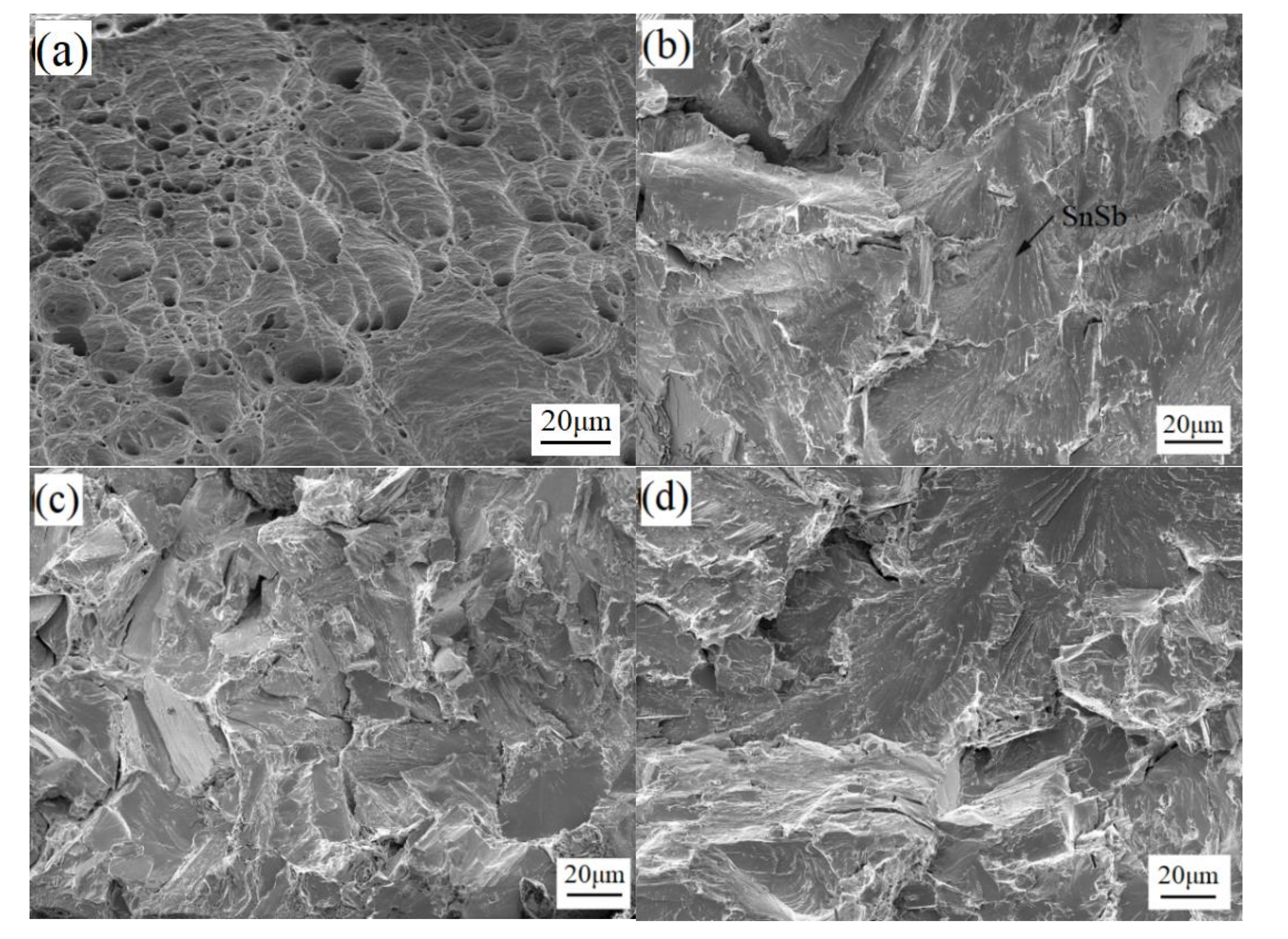 Materials 13 04443 g010