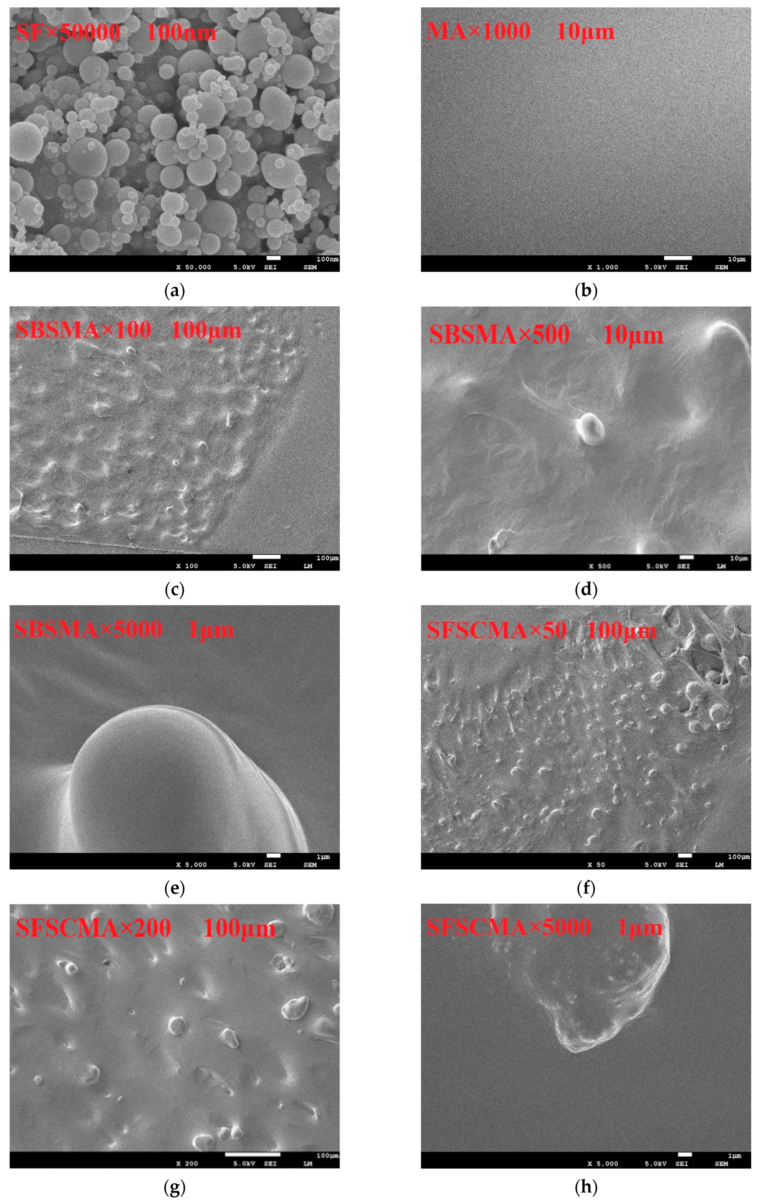 Materials 13 04446 g009