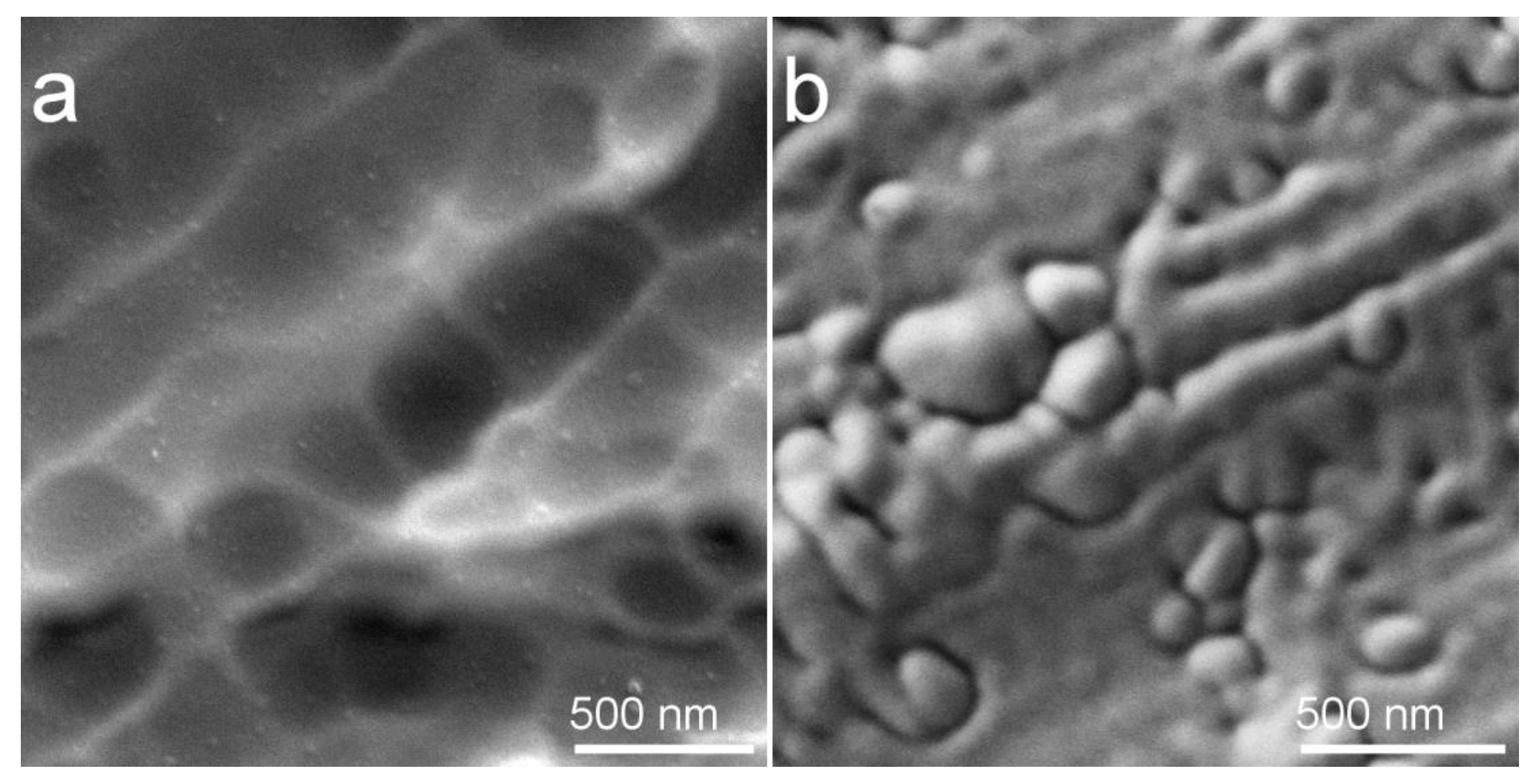 Materials 13 04449 g003