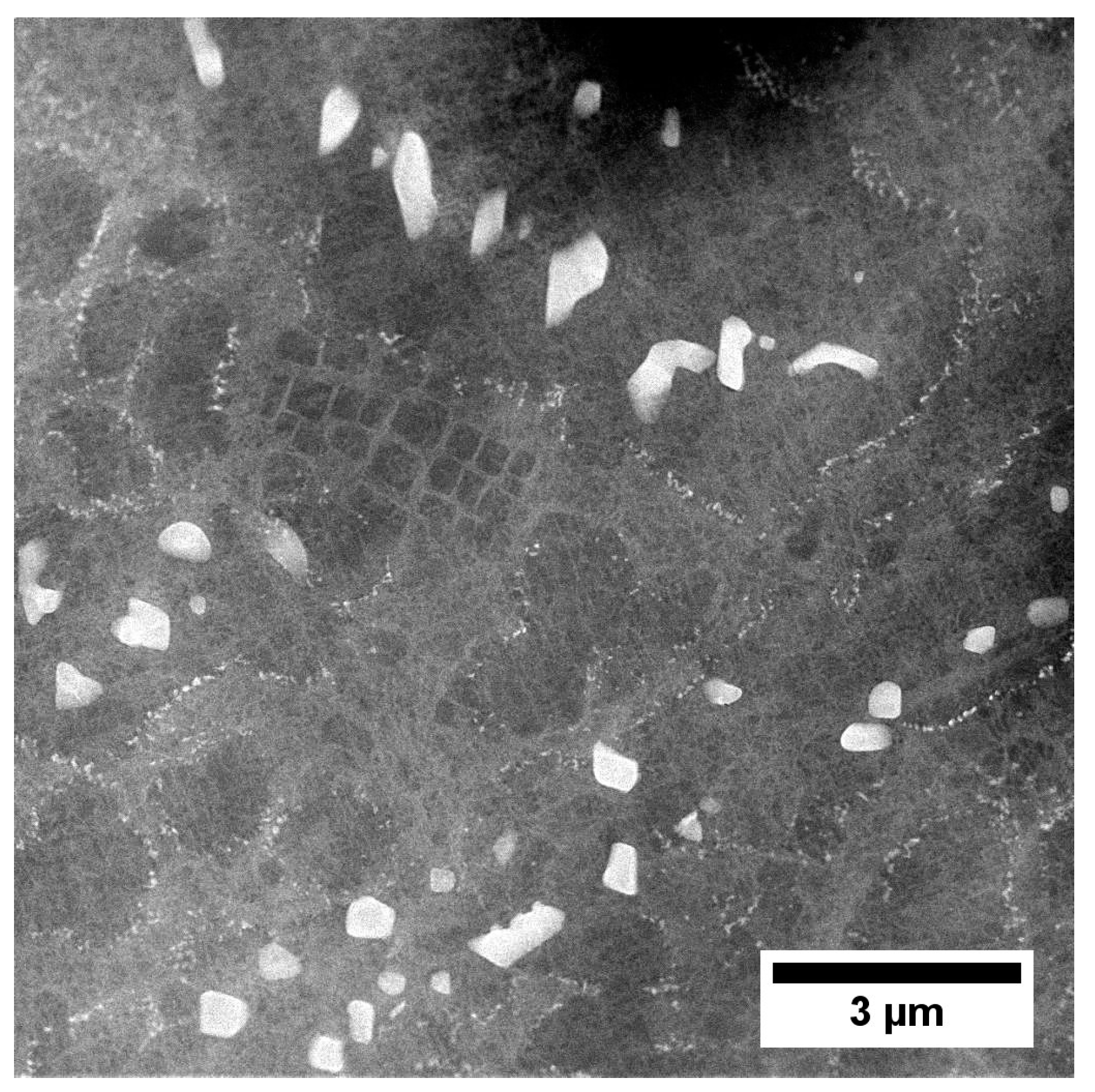 Materials 13 04452 g016