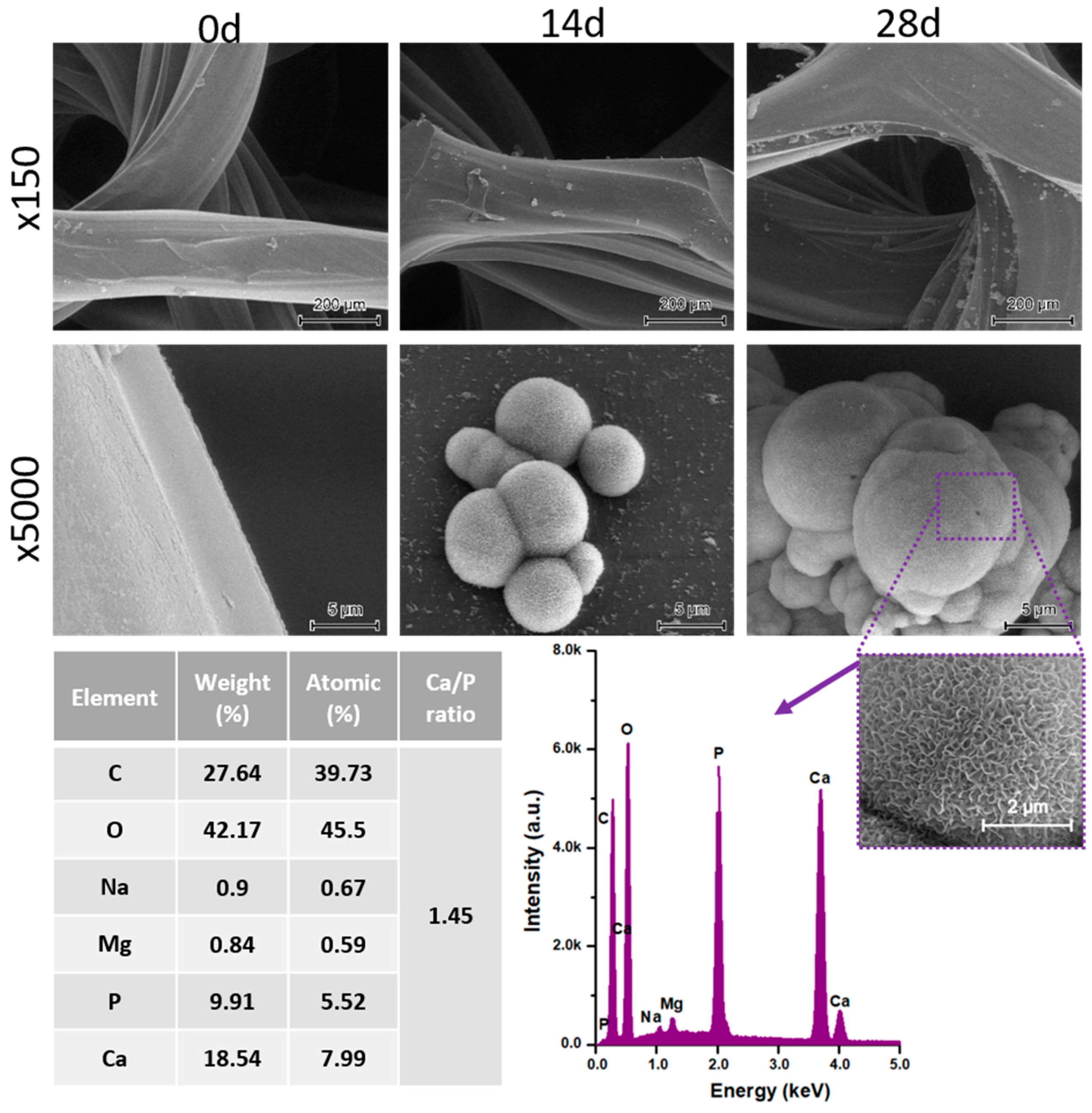 Materials 13 04457 g009 Materials 13 04457 g009