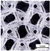 Materials 13 04457 i011 Materials 13 04457 i011