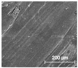 Materials 13 04457 i018 Materials 13 04457 i018