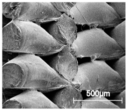 Materials 13 04457 i022 Materials 13 04457 i022