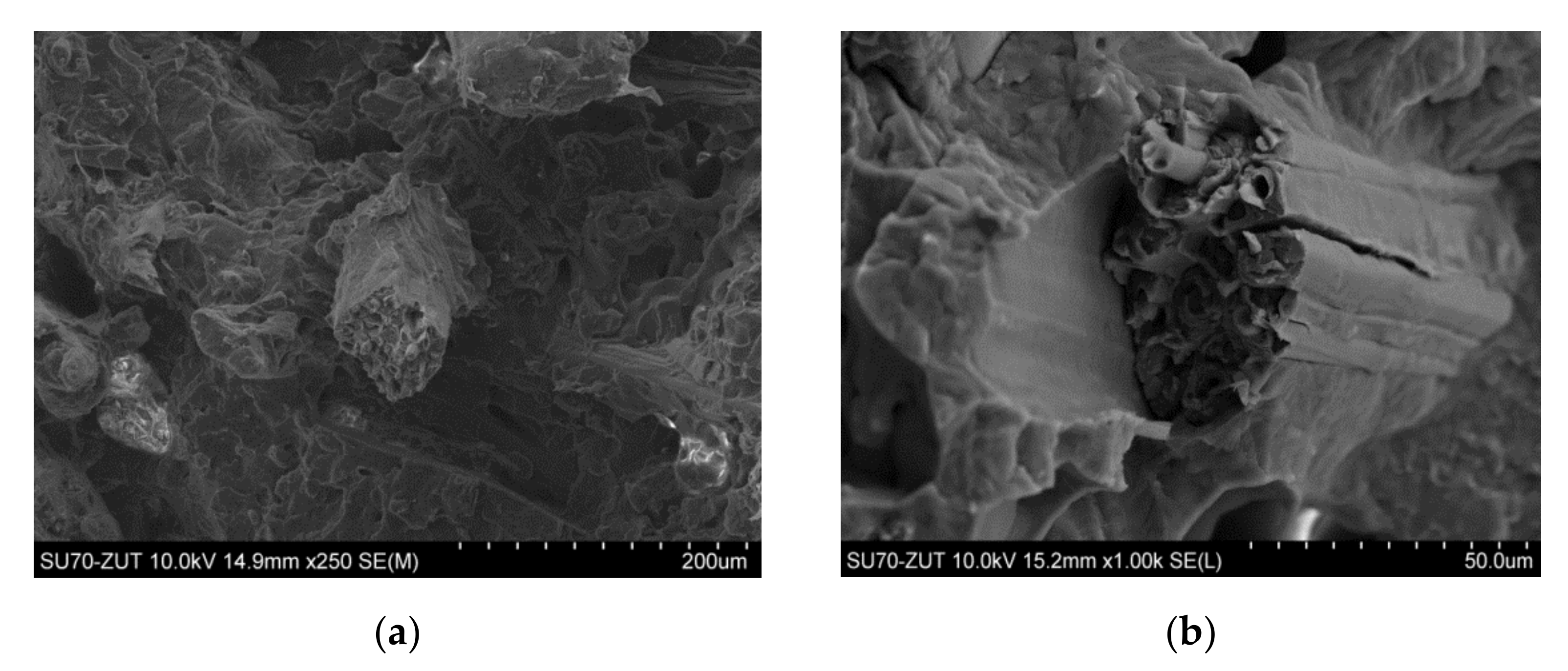 Materials 13 04459 g001 Materials 13 04459 g001