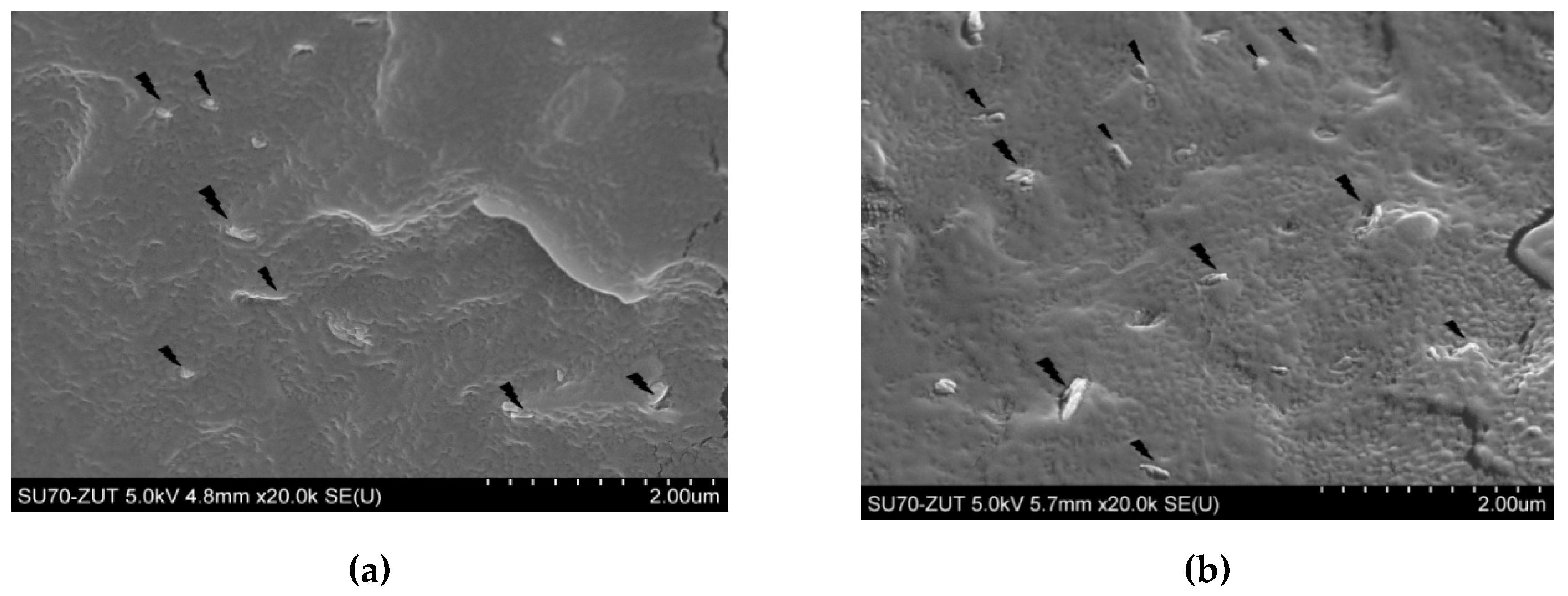 Materials 13 04459 g003a Materials 13 04459 g003a
