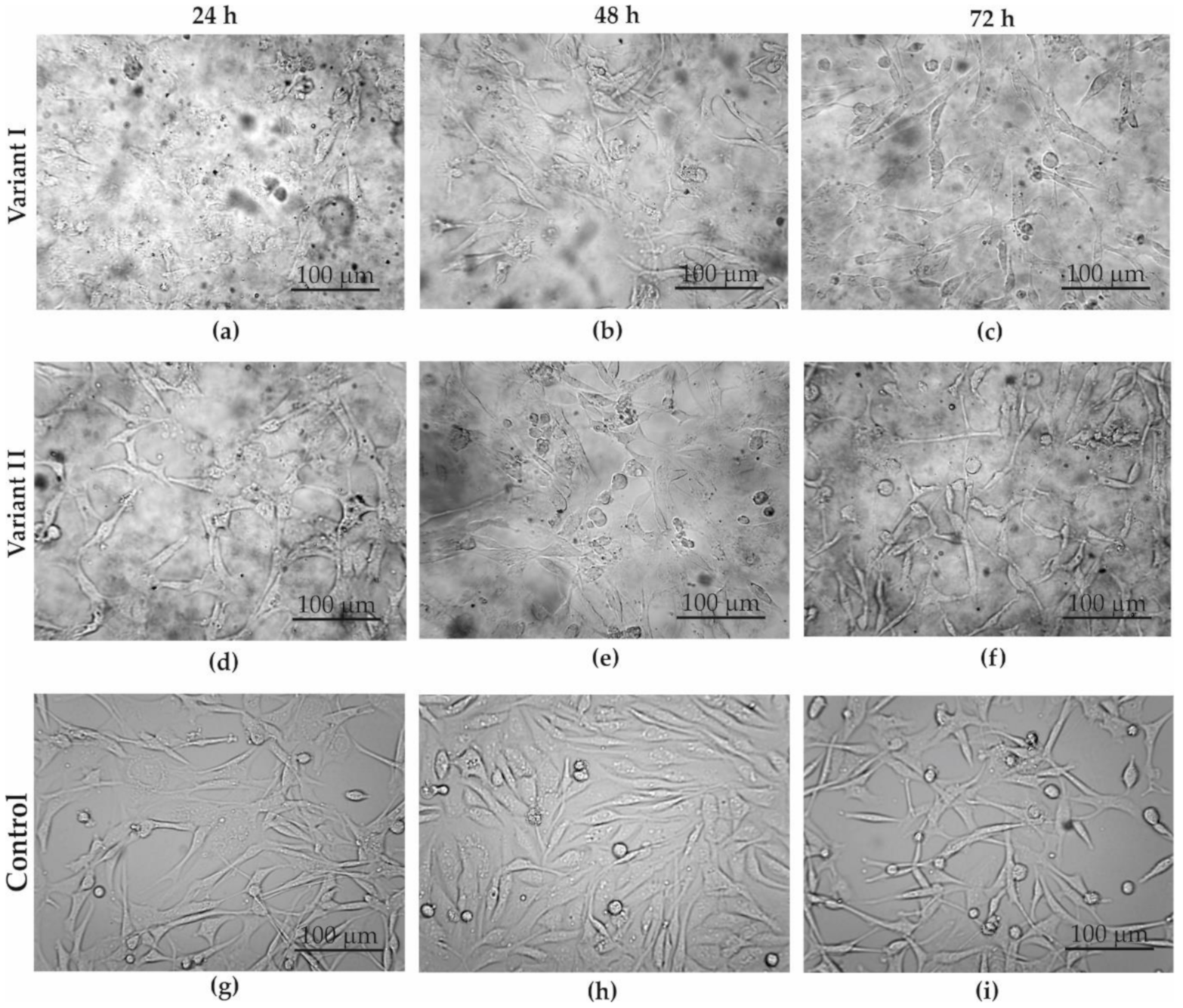 Materials 13 04464 g005 Materials 13 04464 g005