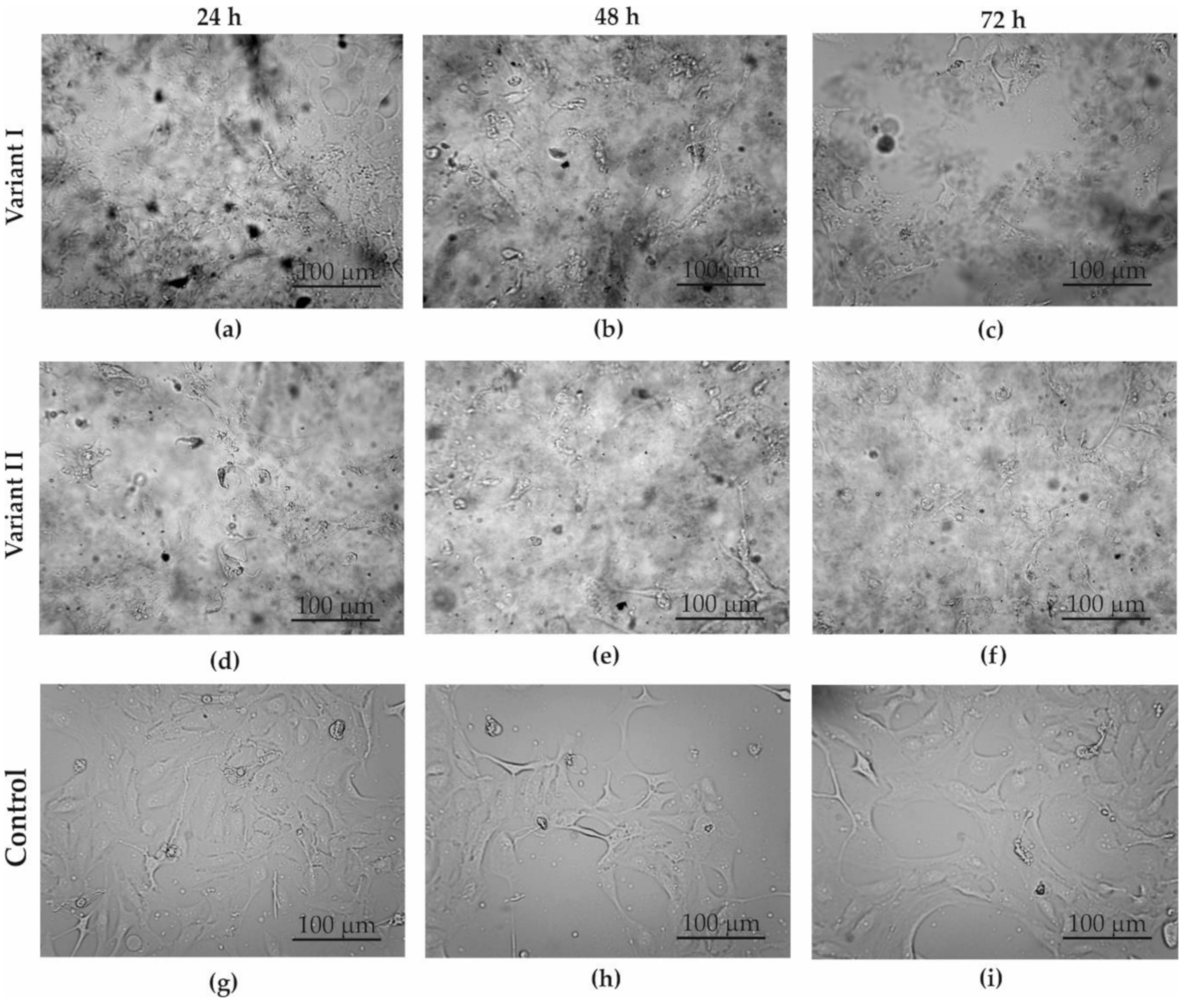 Materials 13 04464 g006 Materials 13 04464 g006