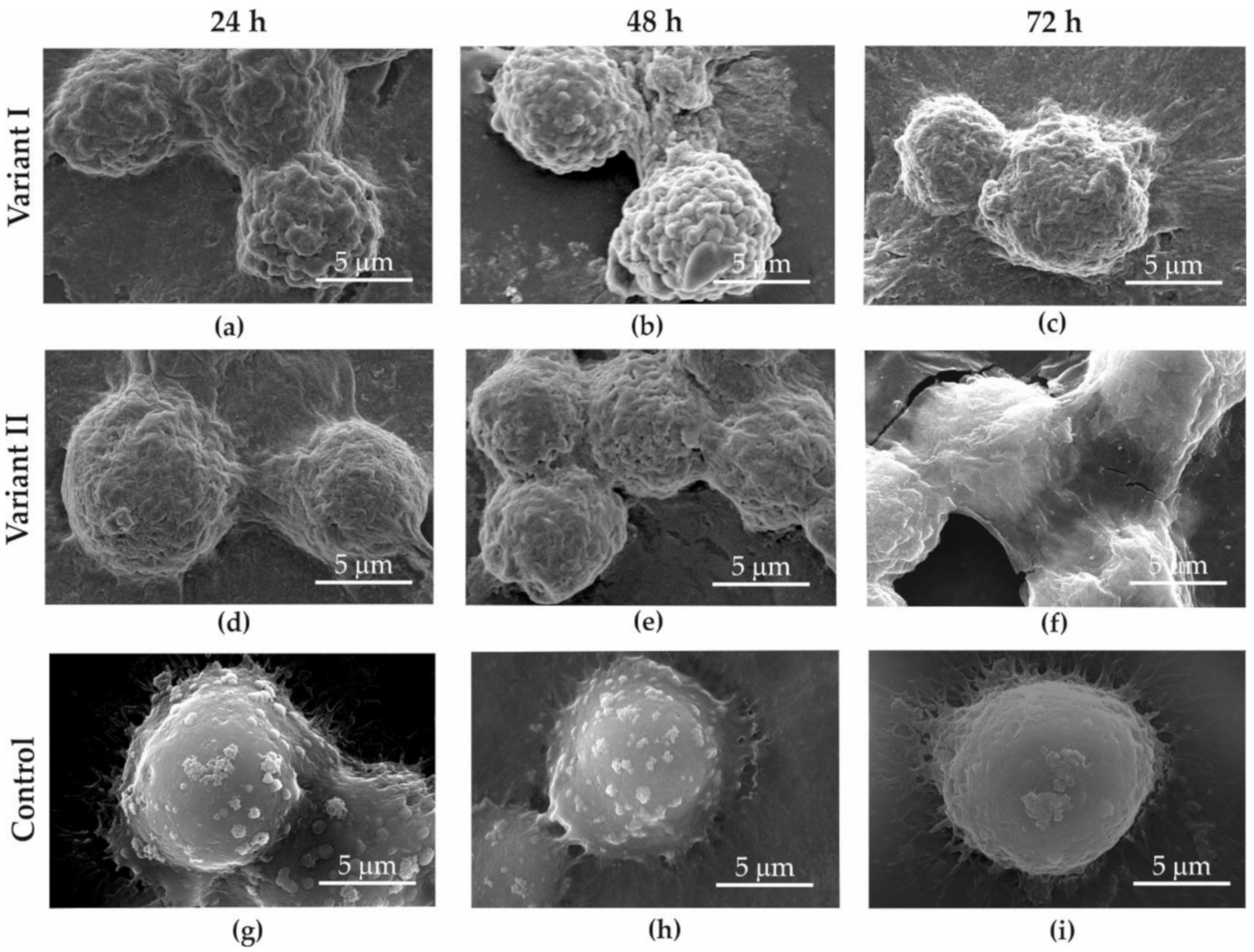 Materials 13 04464 g007 Materials 13 04464 g007