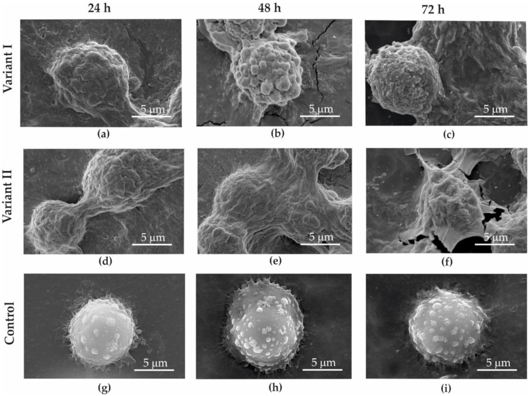 Materials 13 04464 g008 Materials 13 04464 g008