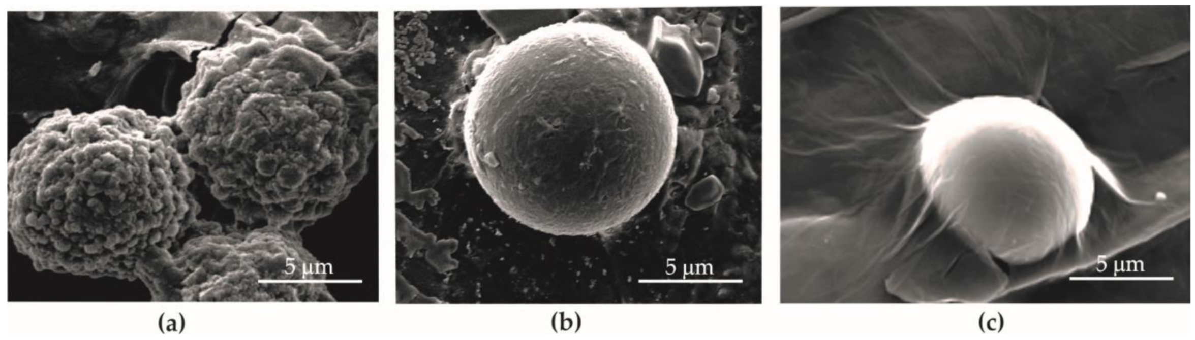 Materials 13 04464 g009 Materials 13 04464 g009