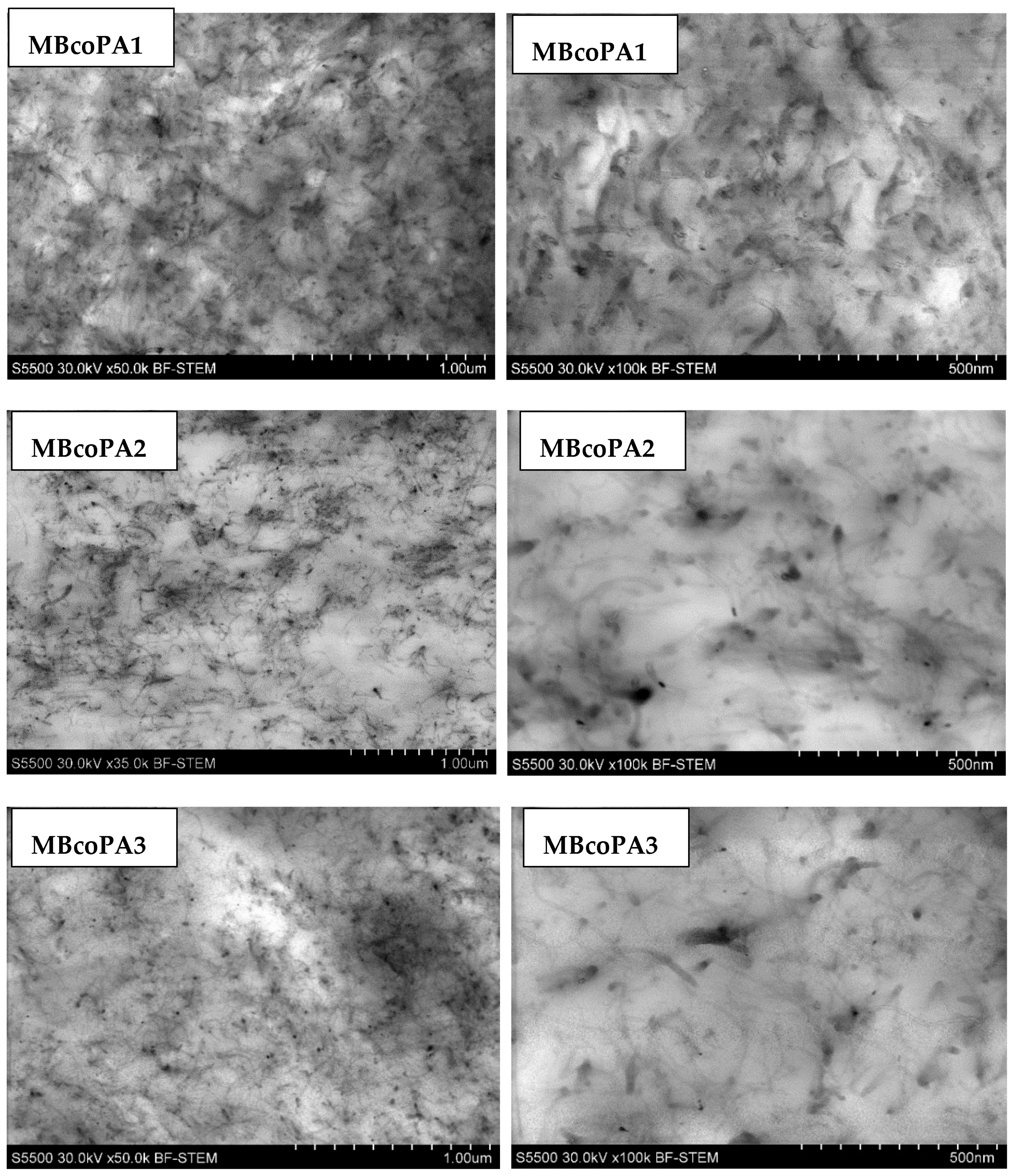 Materials 13 04469 g002a Materials 13 04469 g002a