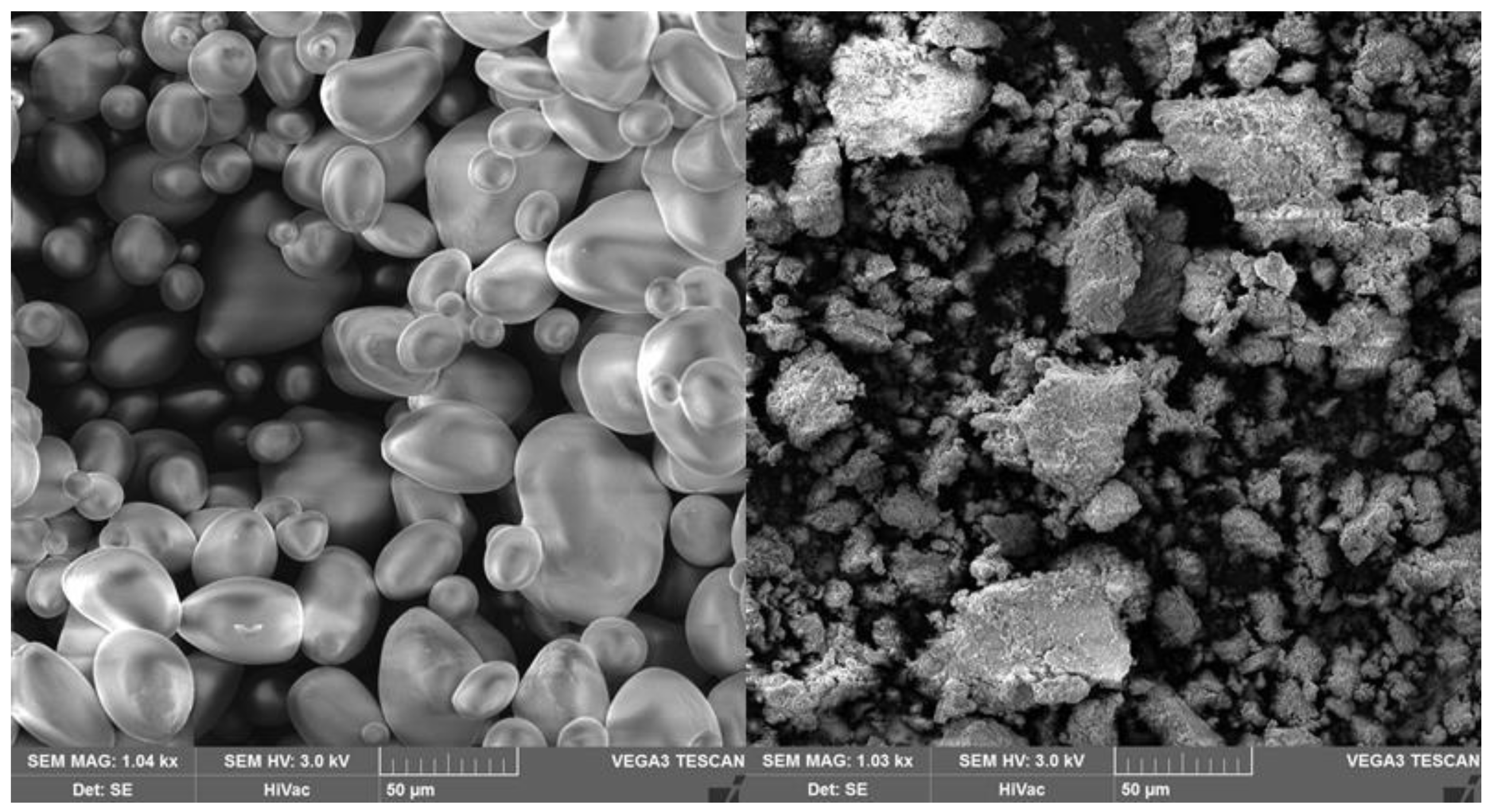 Materials 13 04479 g004 Materials 13 04479 g004