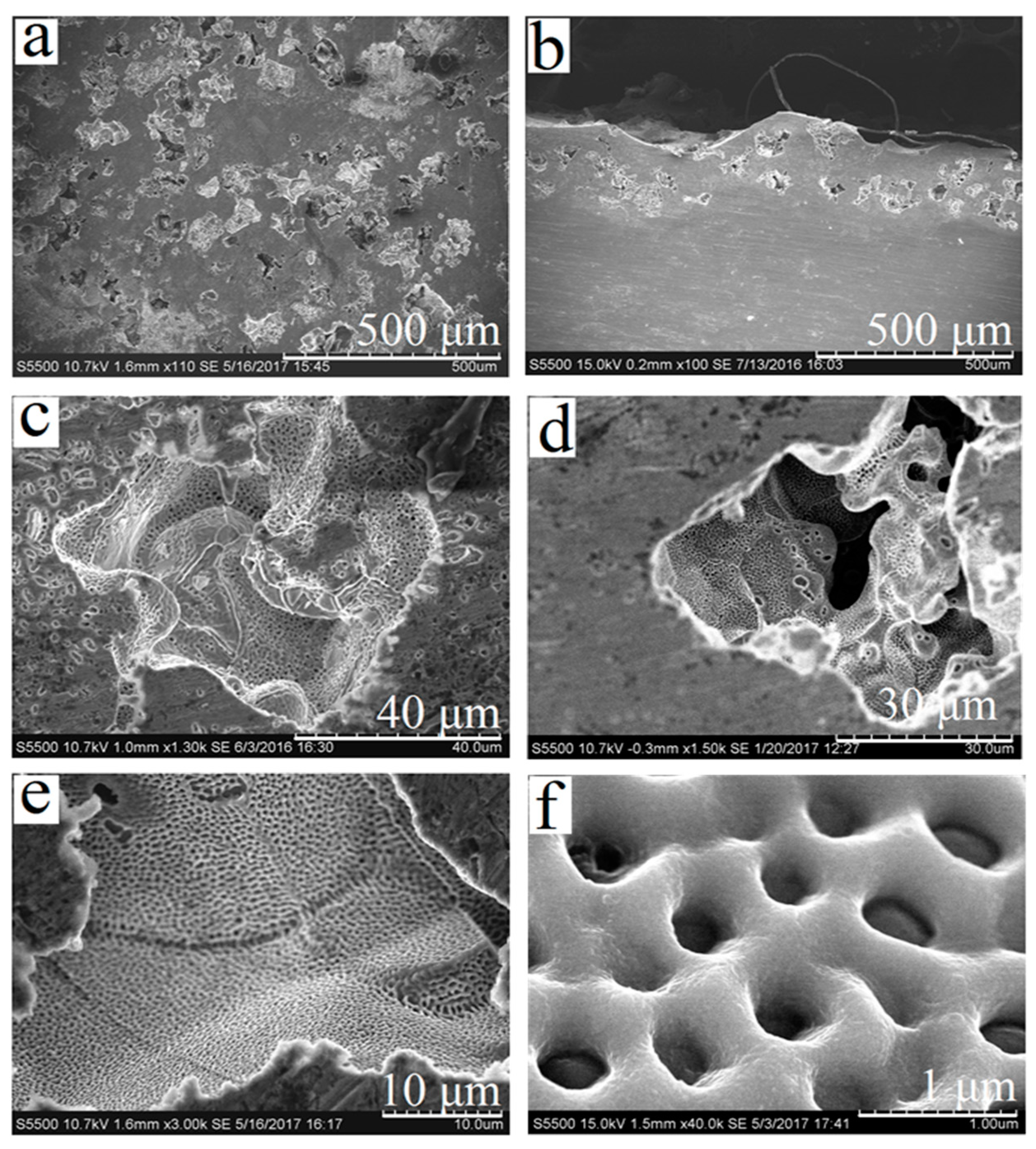 Materials 13 04493 g001 550