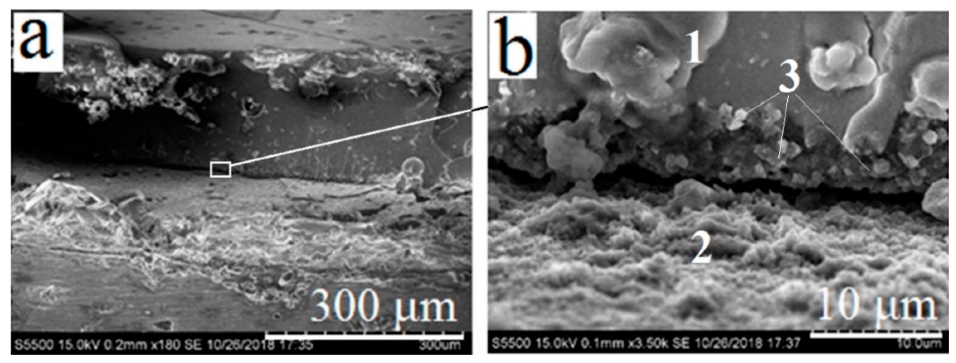 Materials 13 04493 g006 550